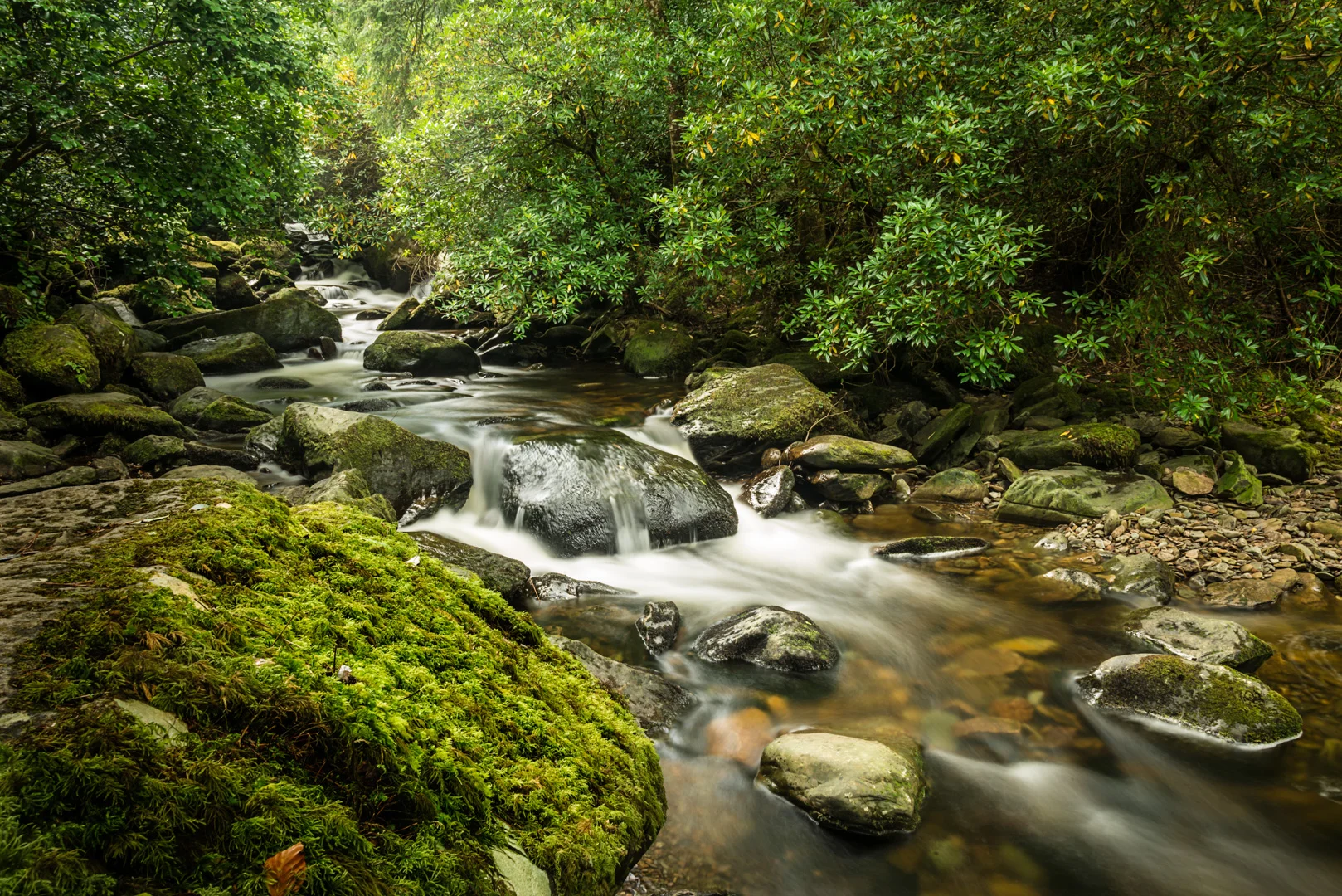 Killarney National Park, Ireland