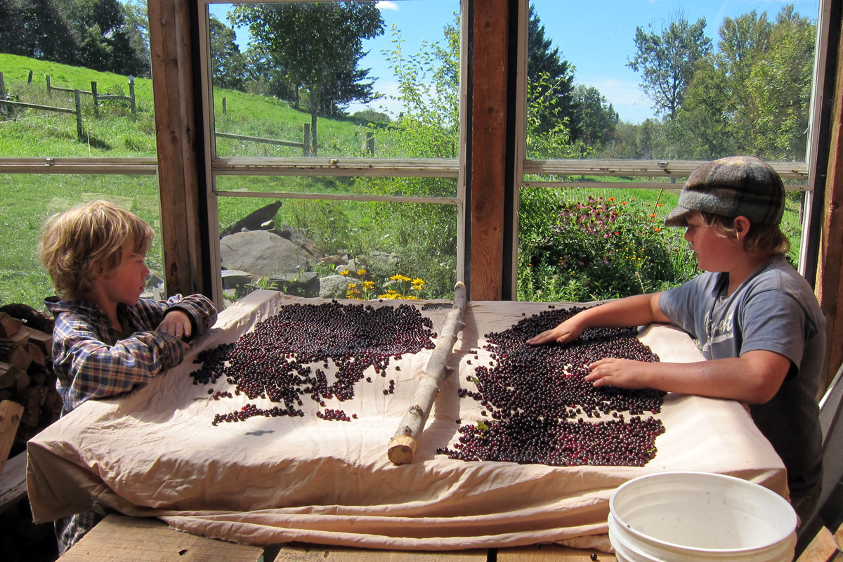 Deep and Personal: Two Parents Write about Becoming Unschoolers