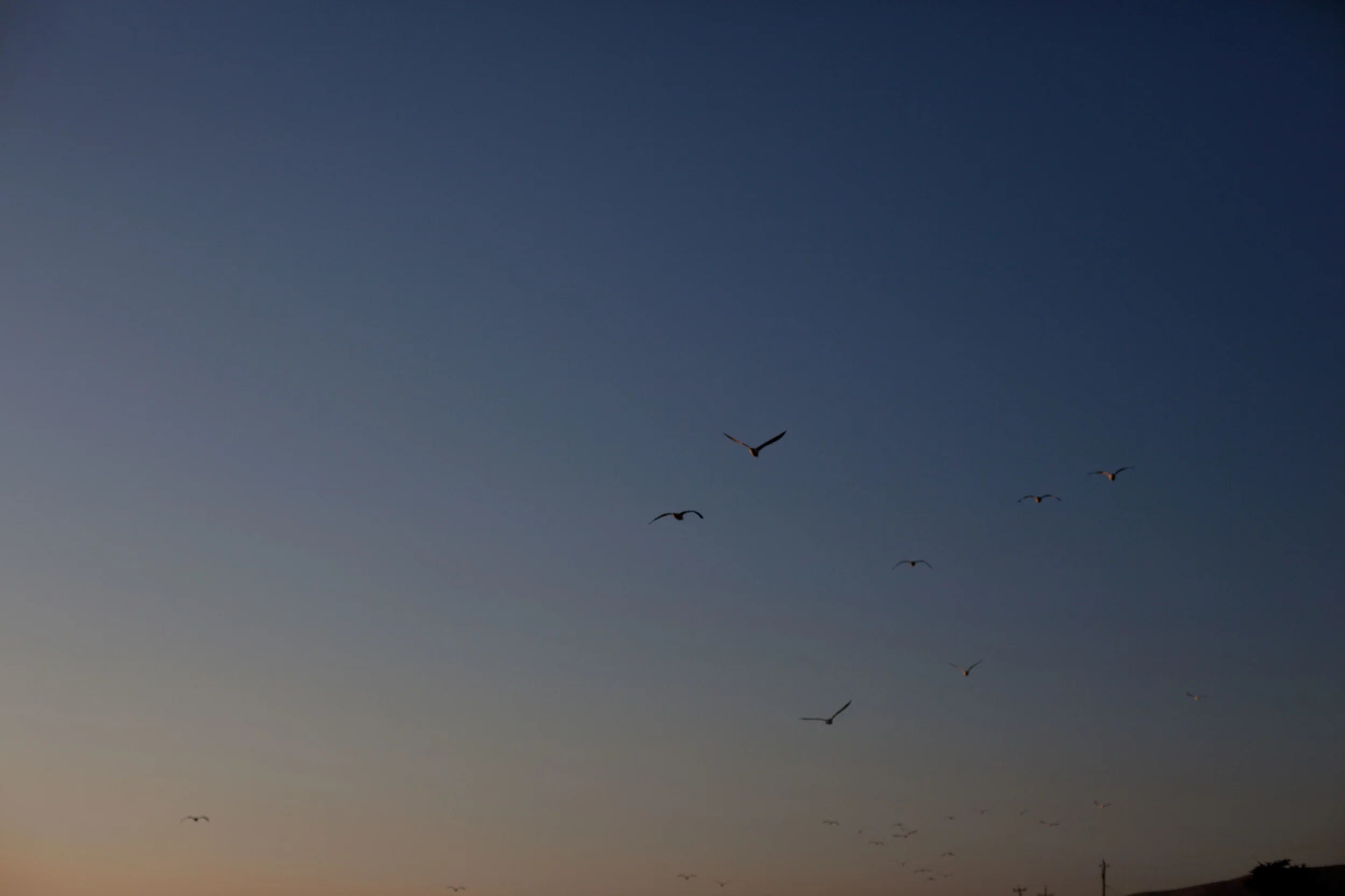 Transient