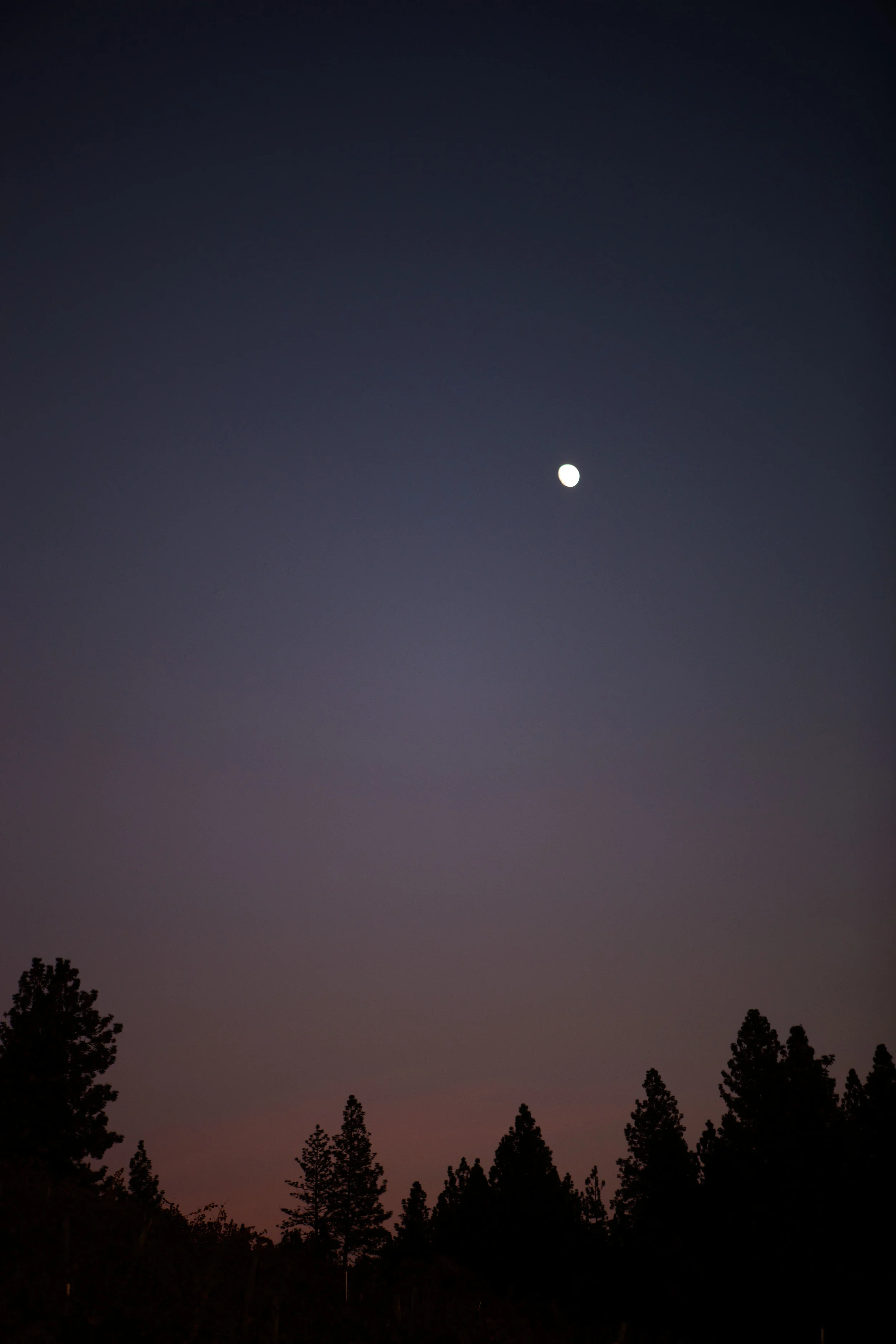 applehill-16.jpg