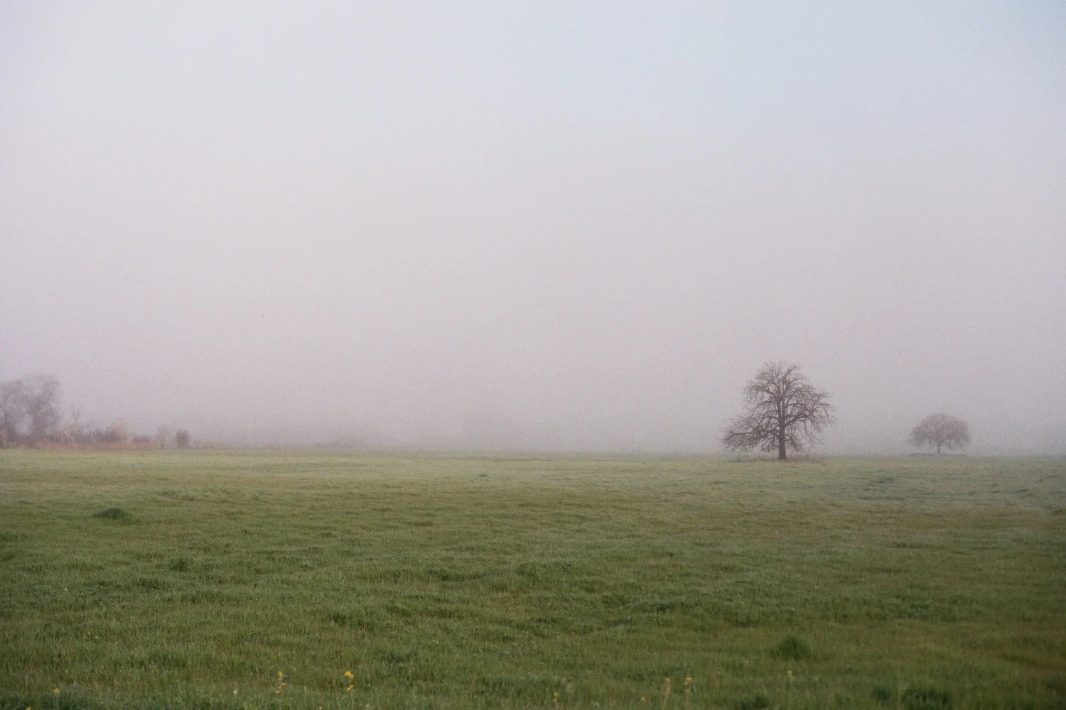 25A_00067.jpg