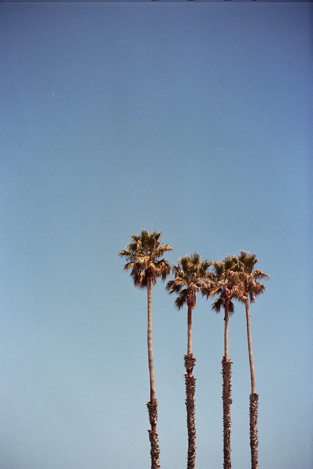 _33_0106.jpg