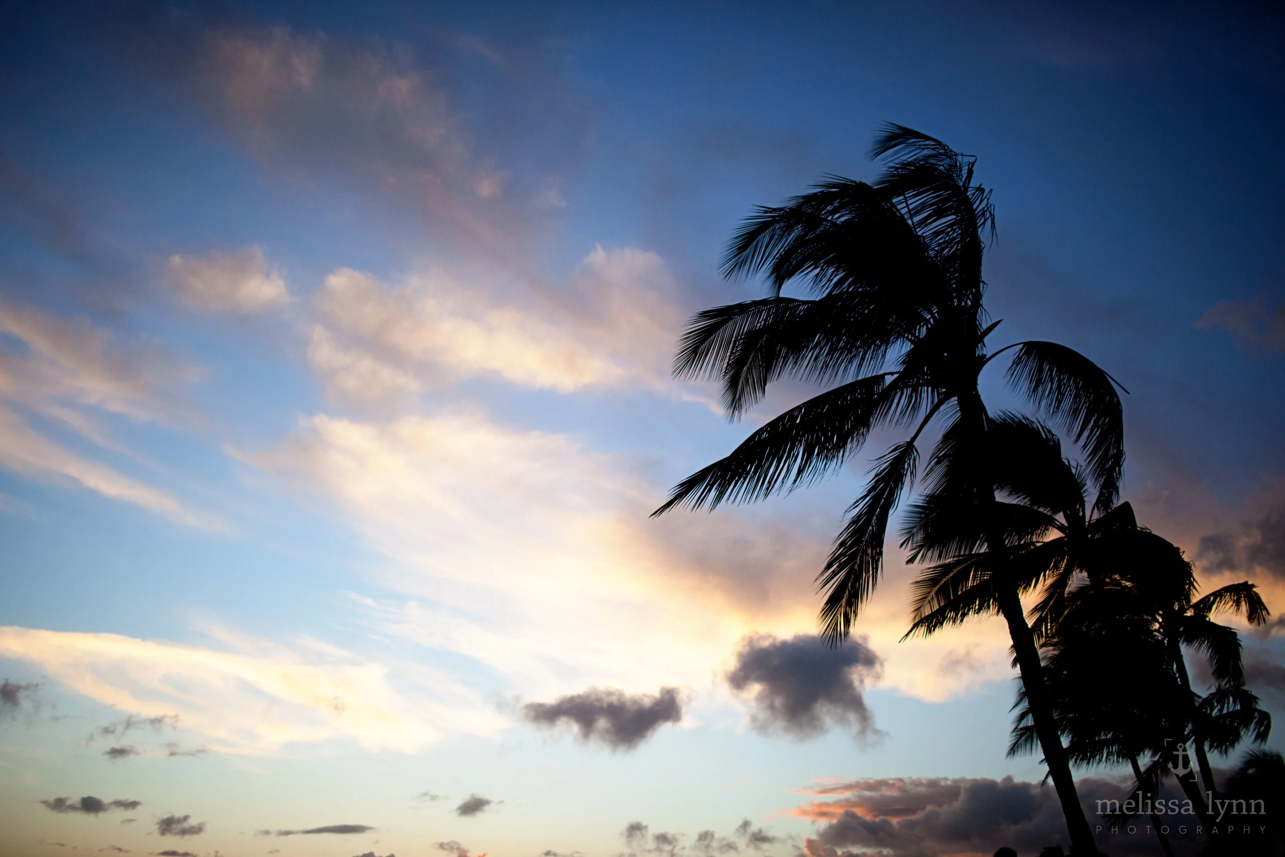 kauai_web-12.jpg