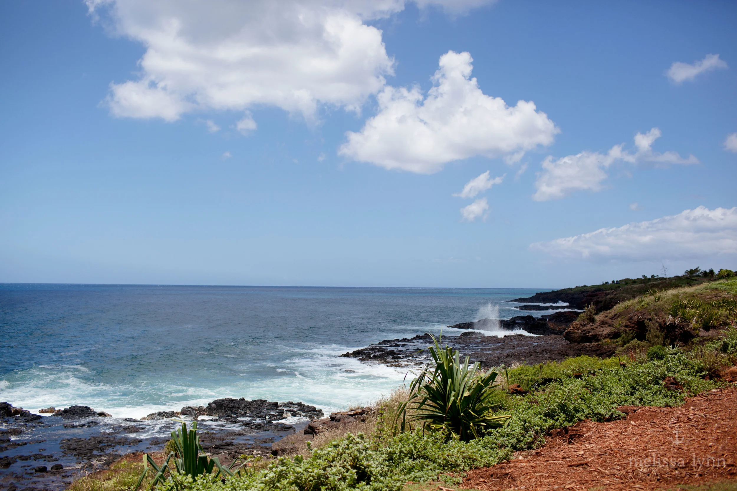 kauai_web-16.jpg
