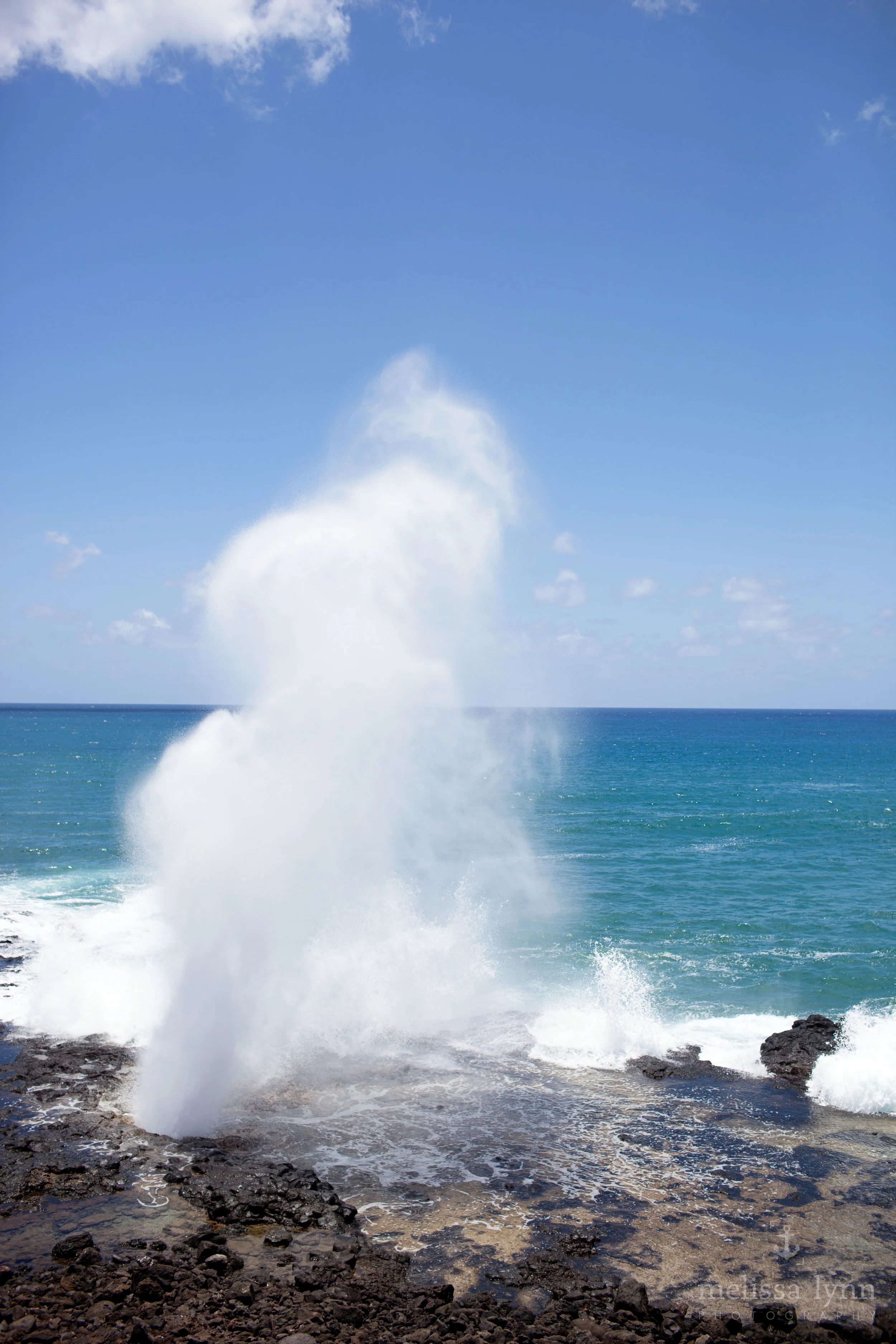 kauai_web-17.jpg