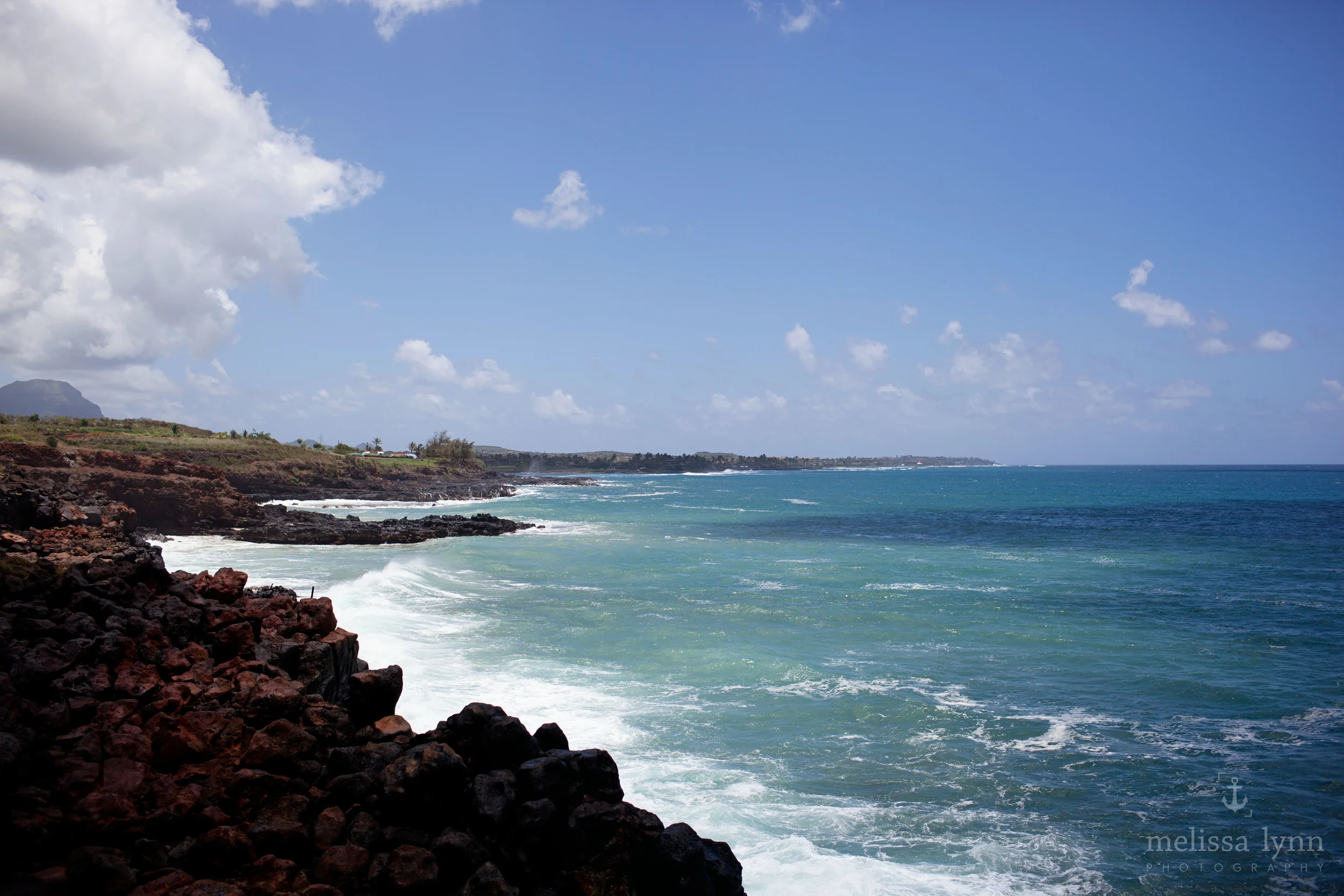 kauai_web-22.jpg