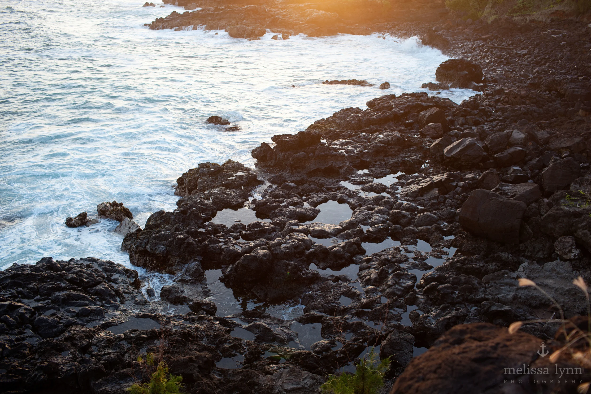 kauai_web-39.jpg