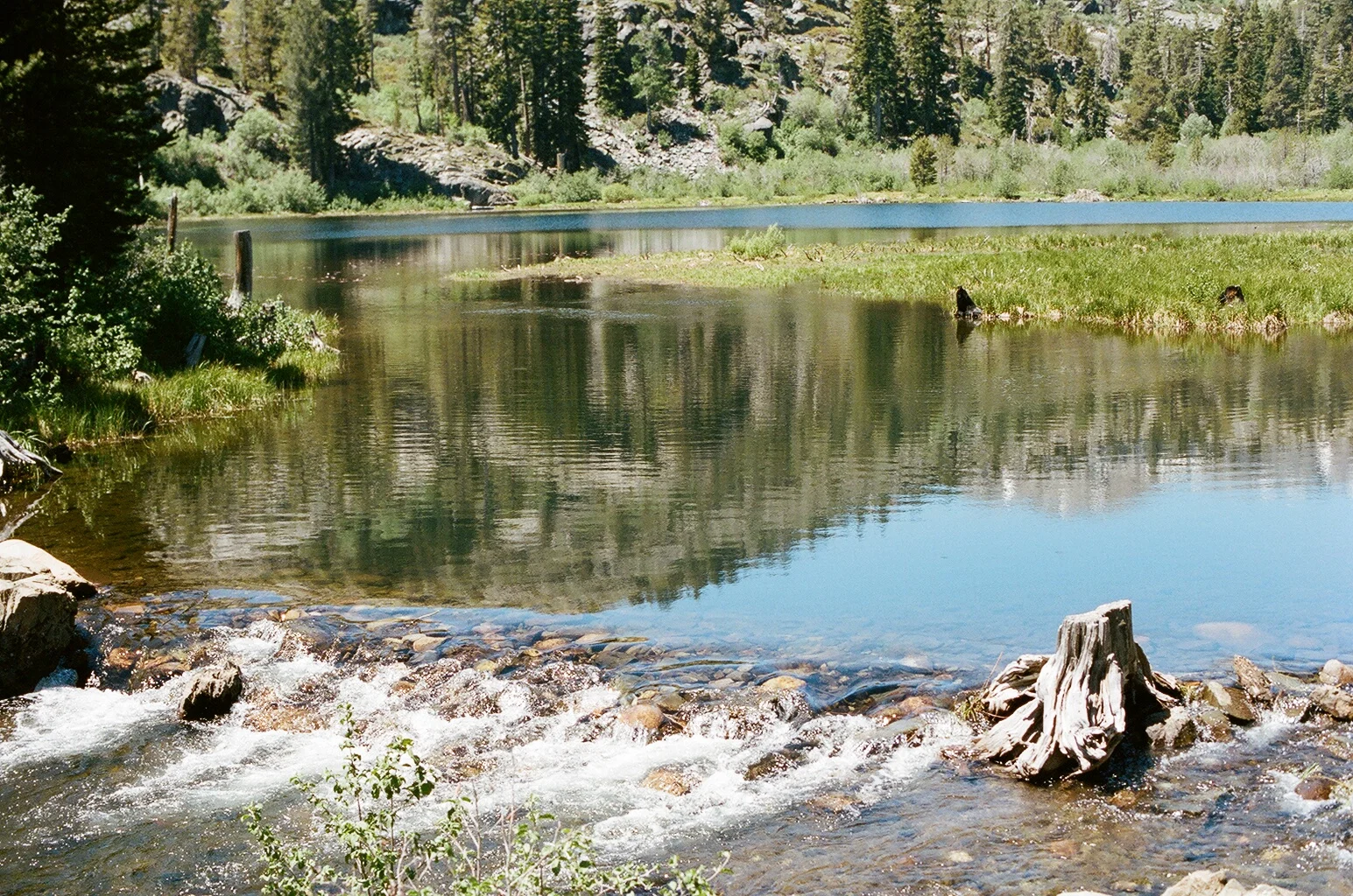 film adventures-11.jpg