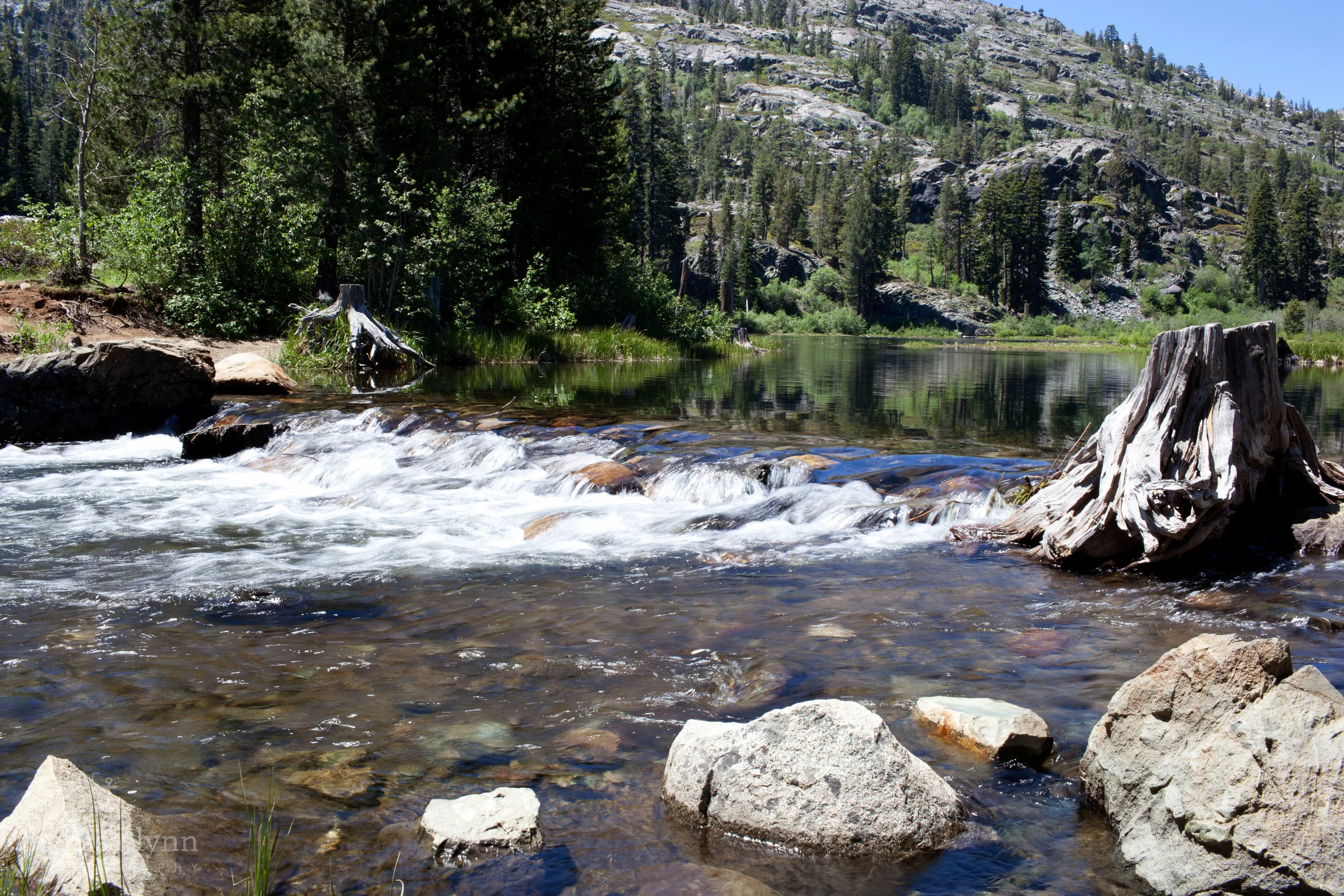 fallenleaflake-51.jpg