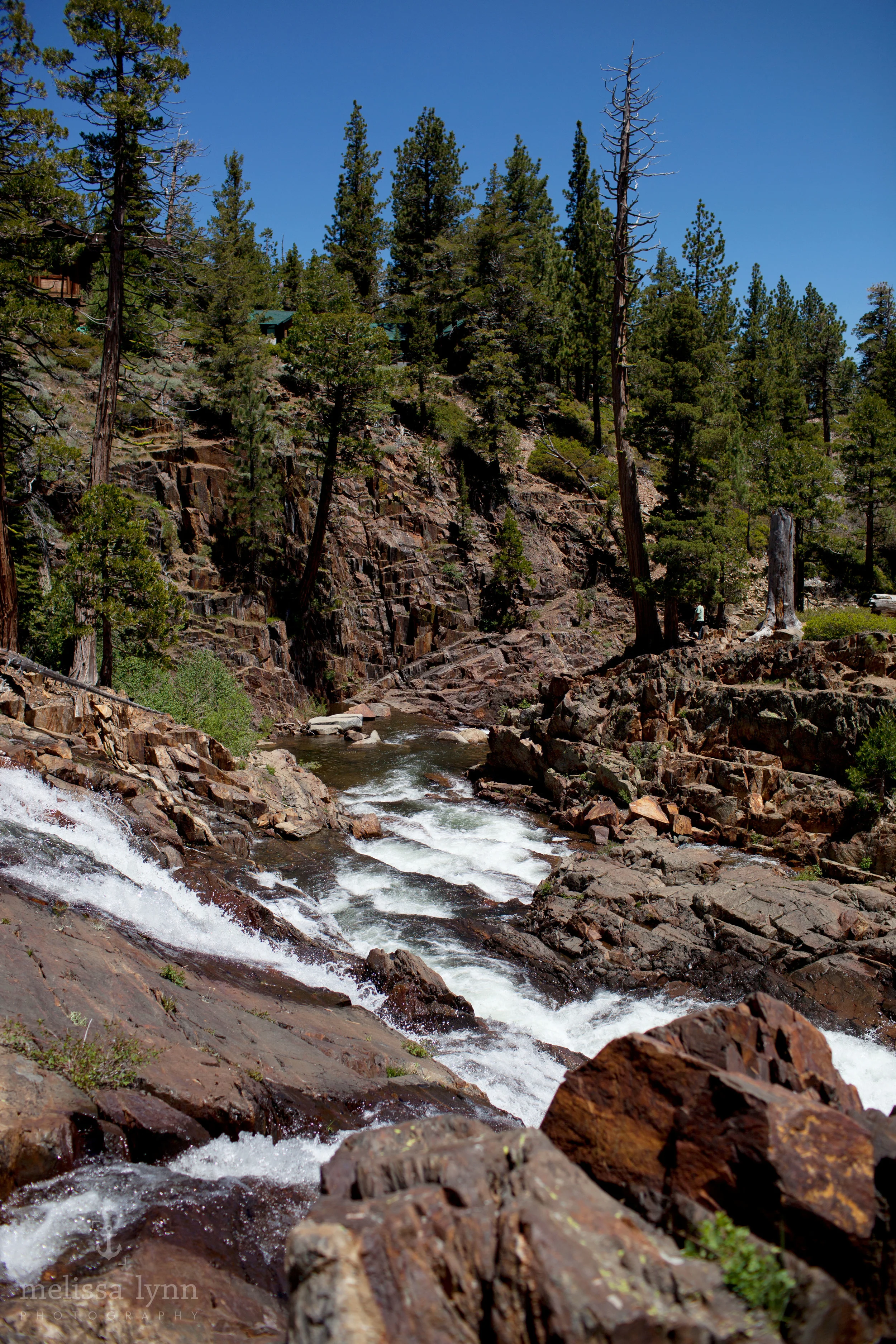 fallenleaflake-56.jpg