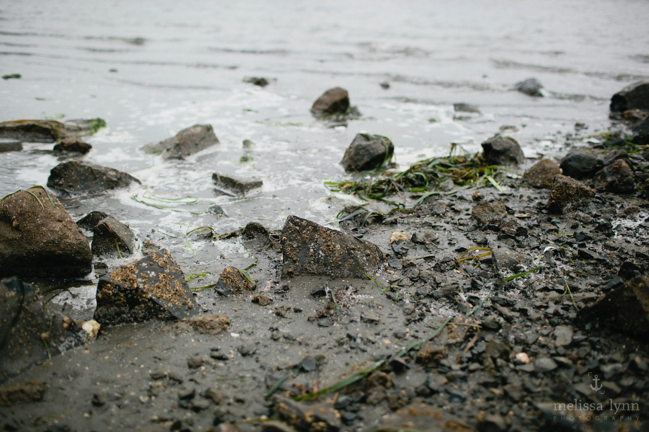 hwy1_2013_web-1.jpg
