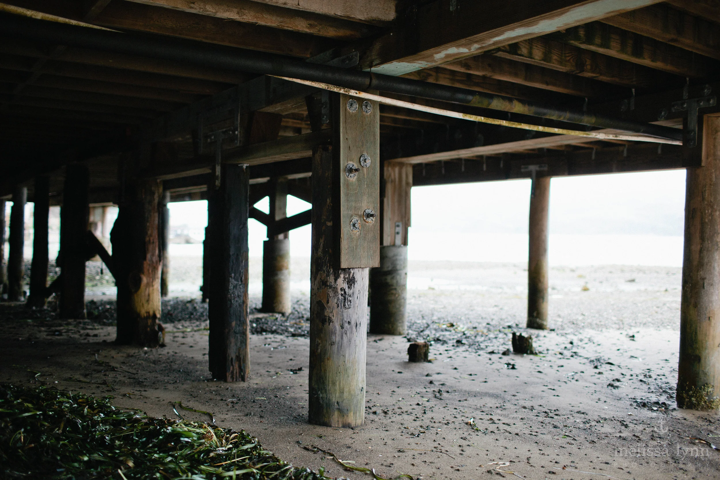 hwy1_2013_web-18.jpg
