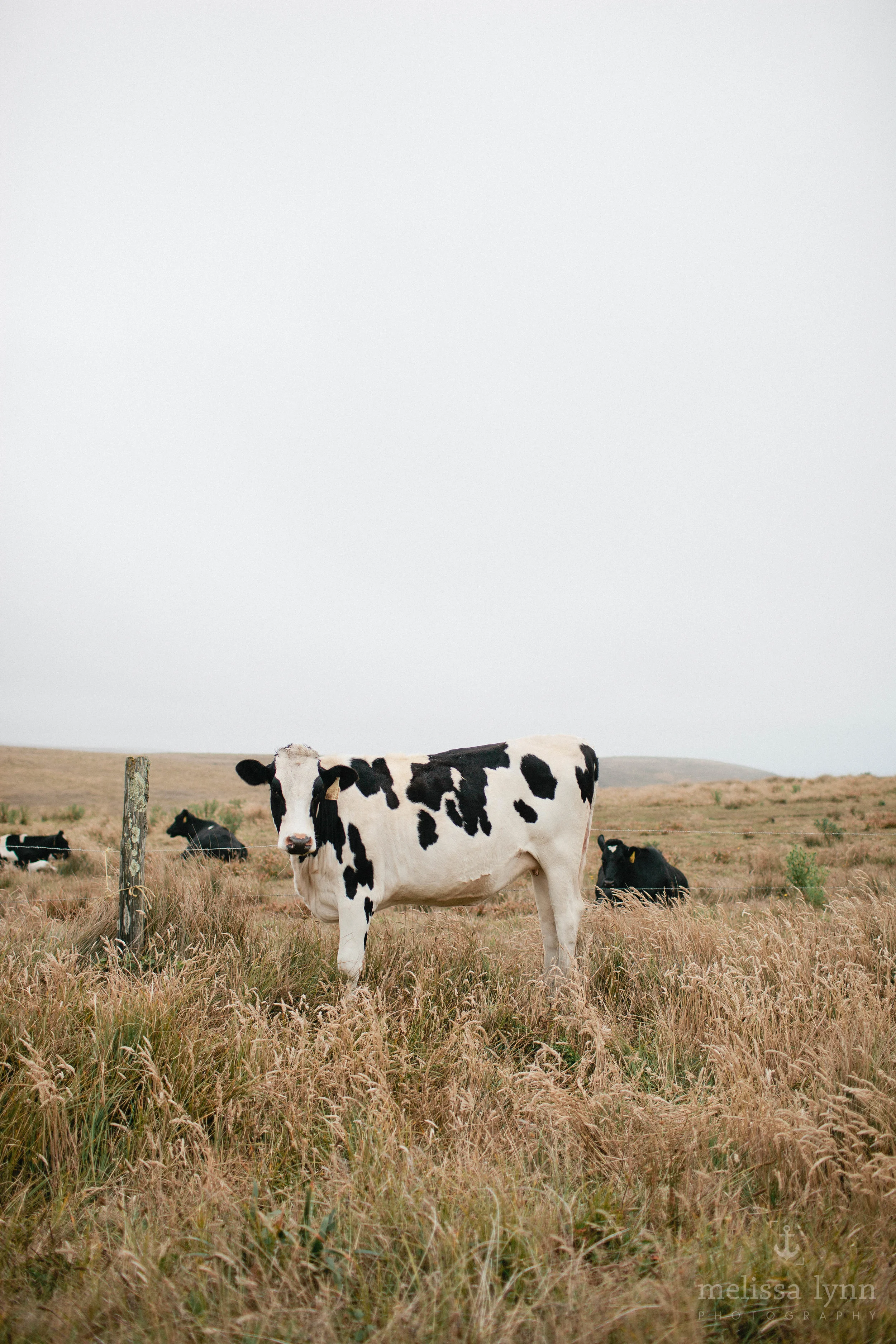 hwy1_2013_web-35.jpg