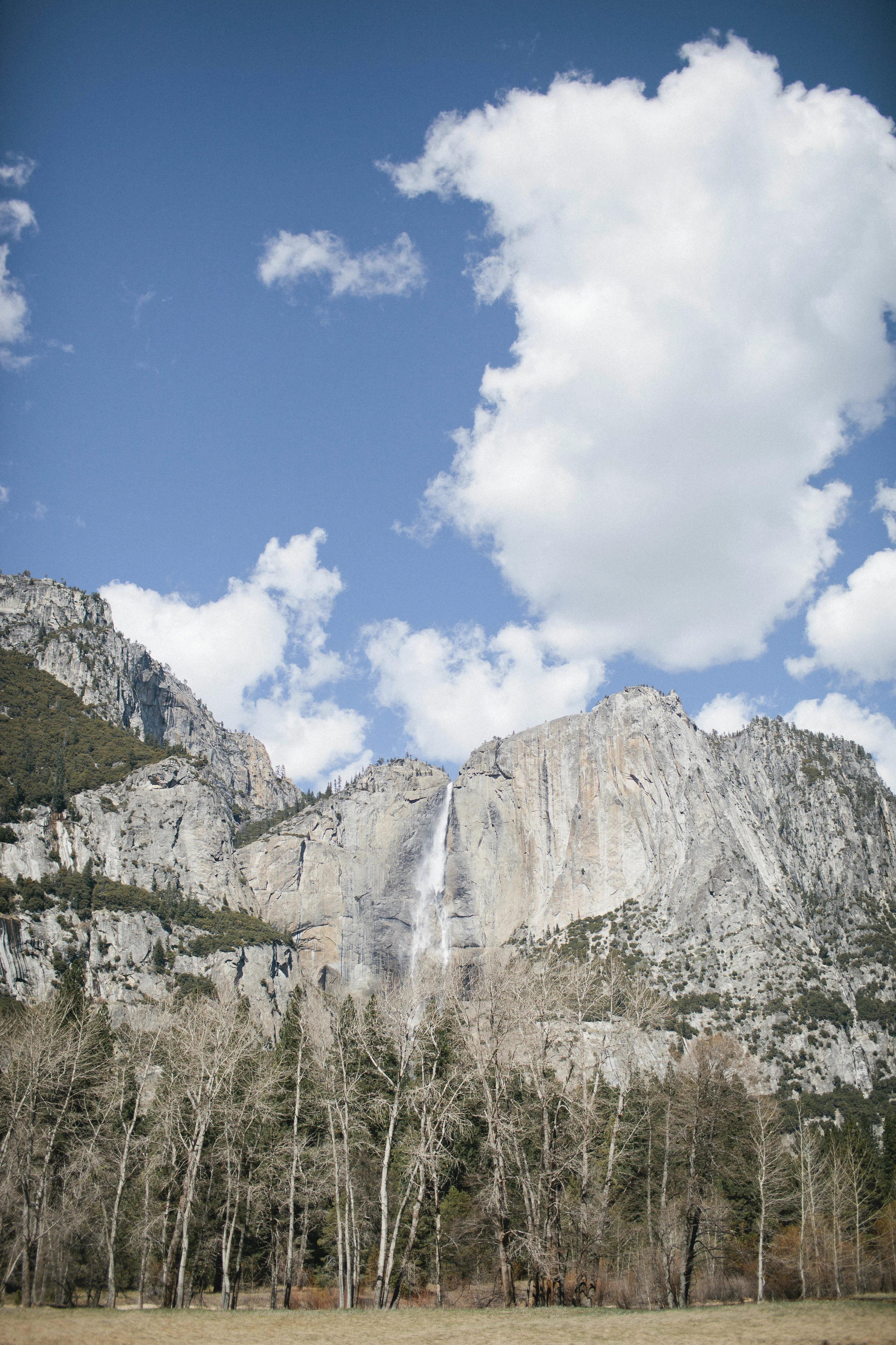 yosemite2014-2web.jpg