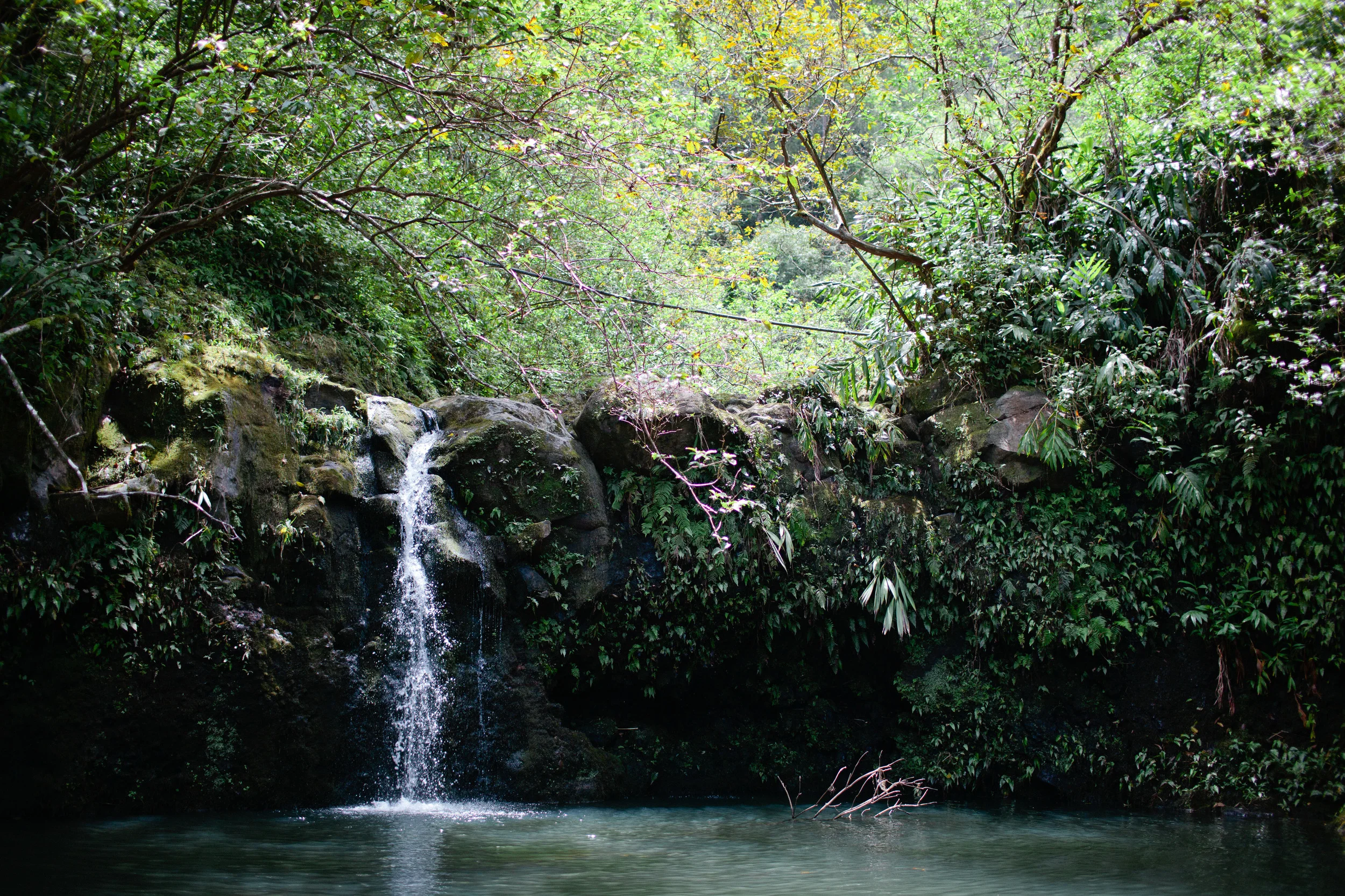 maui2014-33.jpg