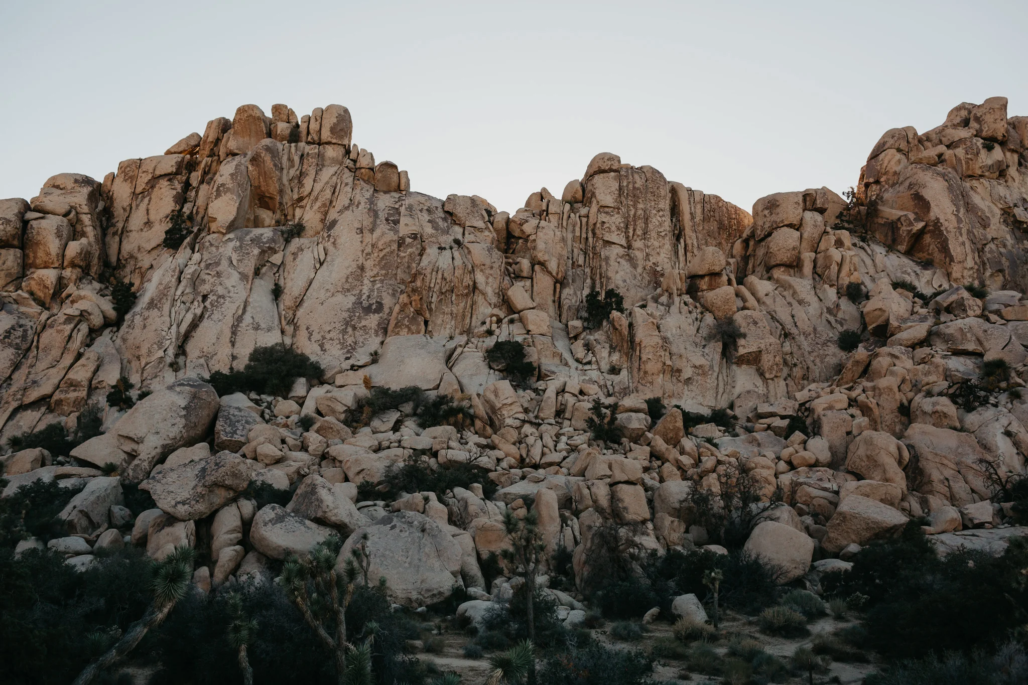 Joshua Tree Engagement Session, Fall, Joshua Tree, Engagement, Wedding, Summer, Sunset