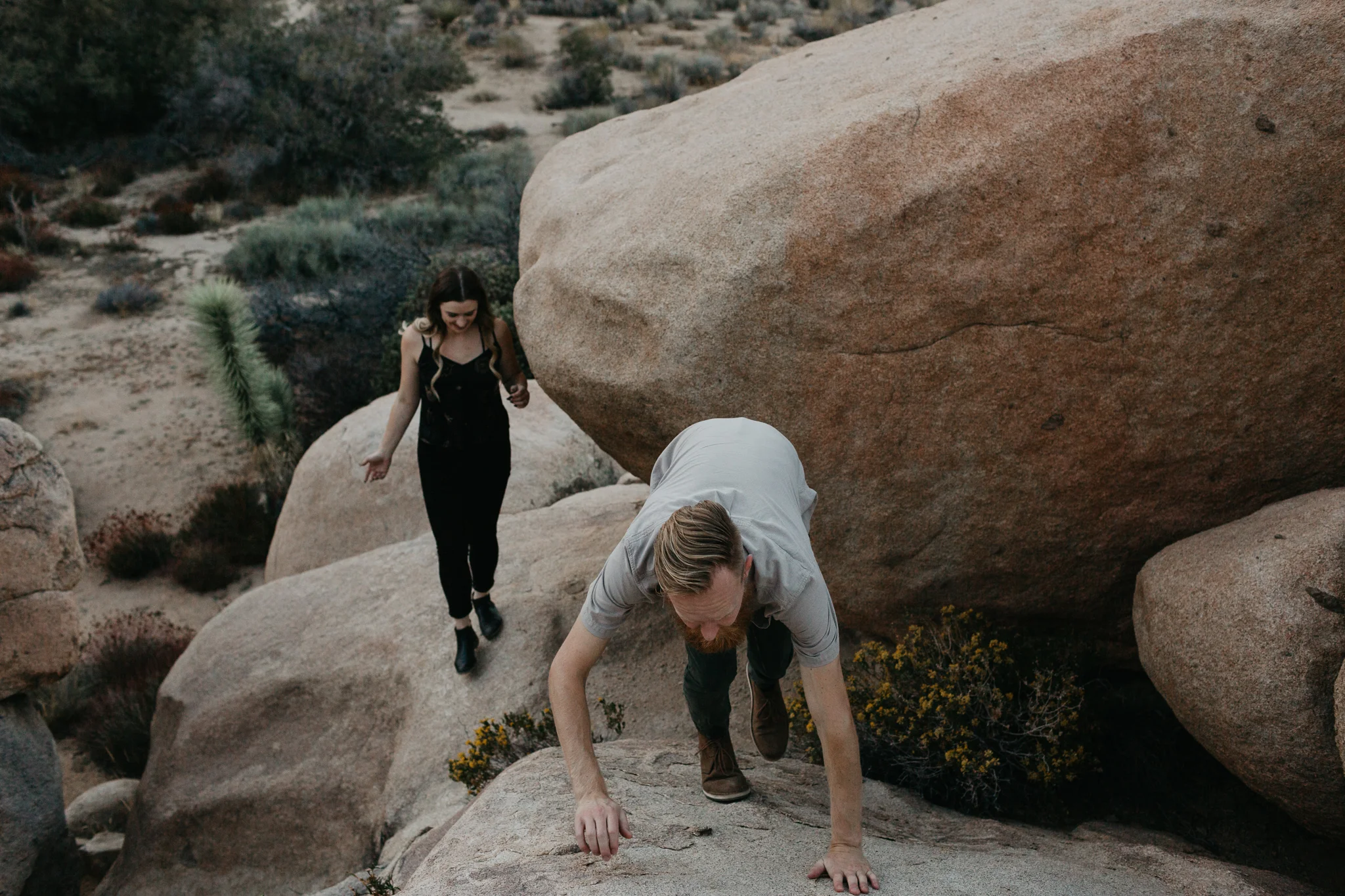 Joshua Tree Engagement Session, Fall, Joshua Tree, Engagement, Wedding, Summer, Sunset