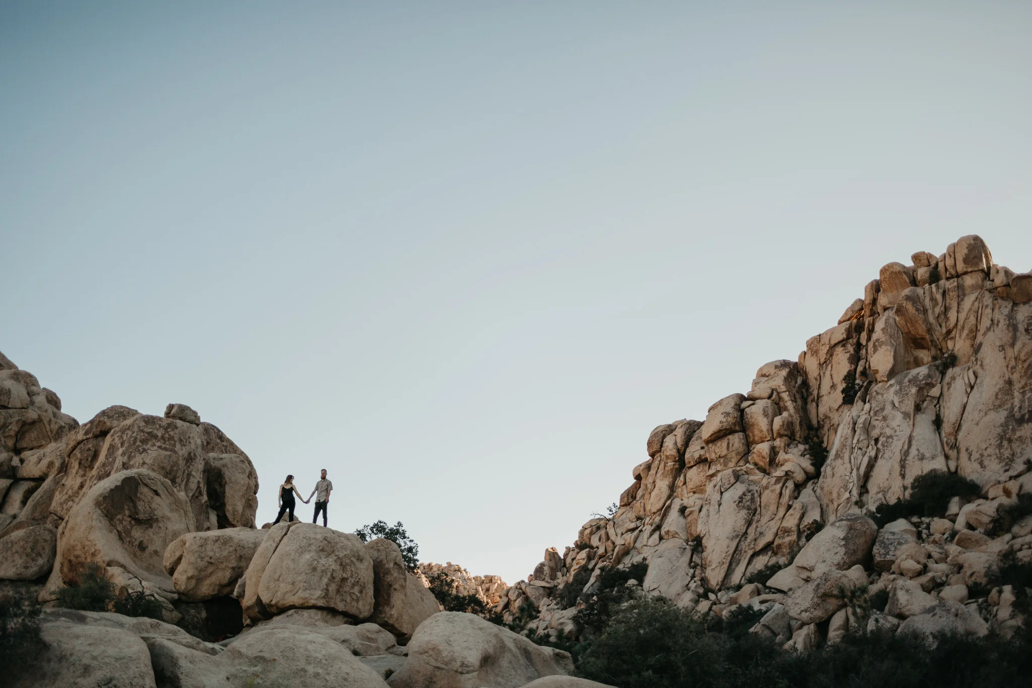 Joshua Tree Engagement Session, Fall, Joshua Tree, Engagement, Wedding, Summer, Sunset
