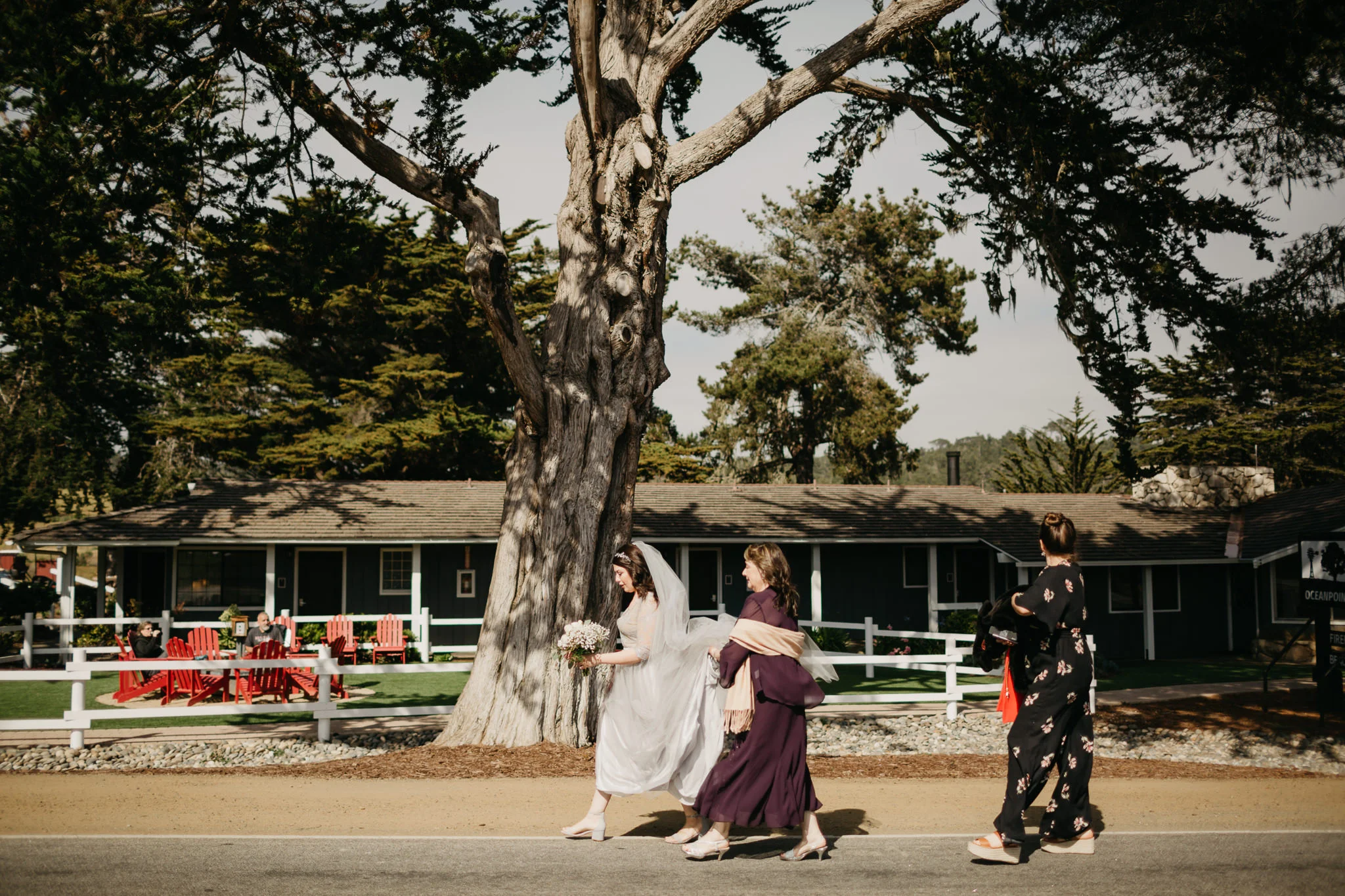 Cambria Intimate Wedding, west coast wedding, beach wedding, sunset beach wedding, Oceanpoint Ranch wedding, Melissa Atle, Northfern