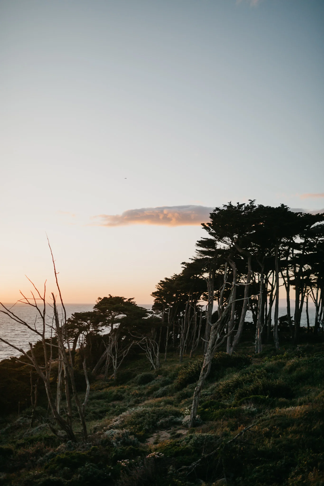 Lands End engagement session, Sutro baths engagement session, san francisco engagement session, west coast, ocean, sf, bay area photographer, melissa atle, northfern