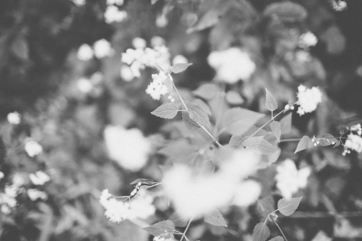 TD_W-blog-0002.jpg