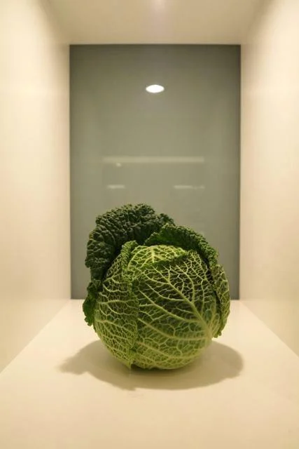 254692_248034398661297_1557260112_n.jpg
