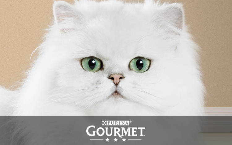 thumbnail_PurinaGourmet.png