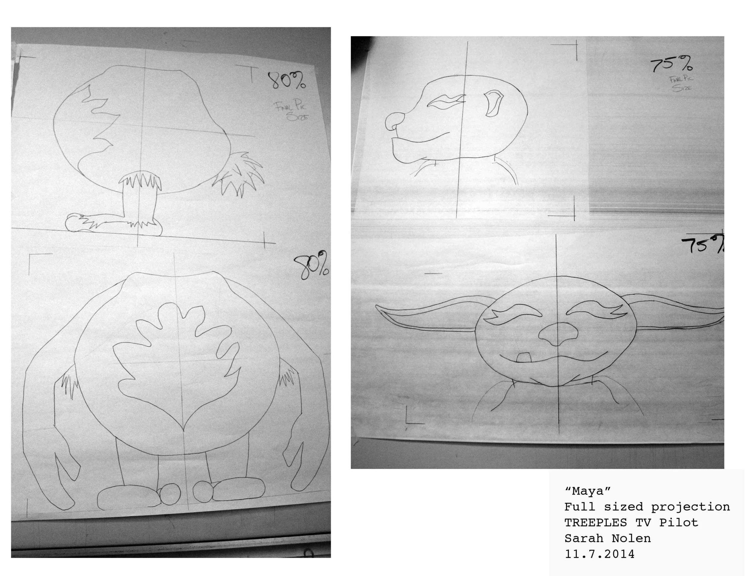 Maya Projection 2.jpg