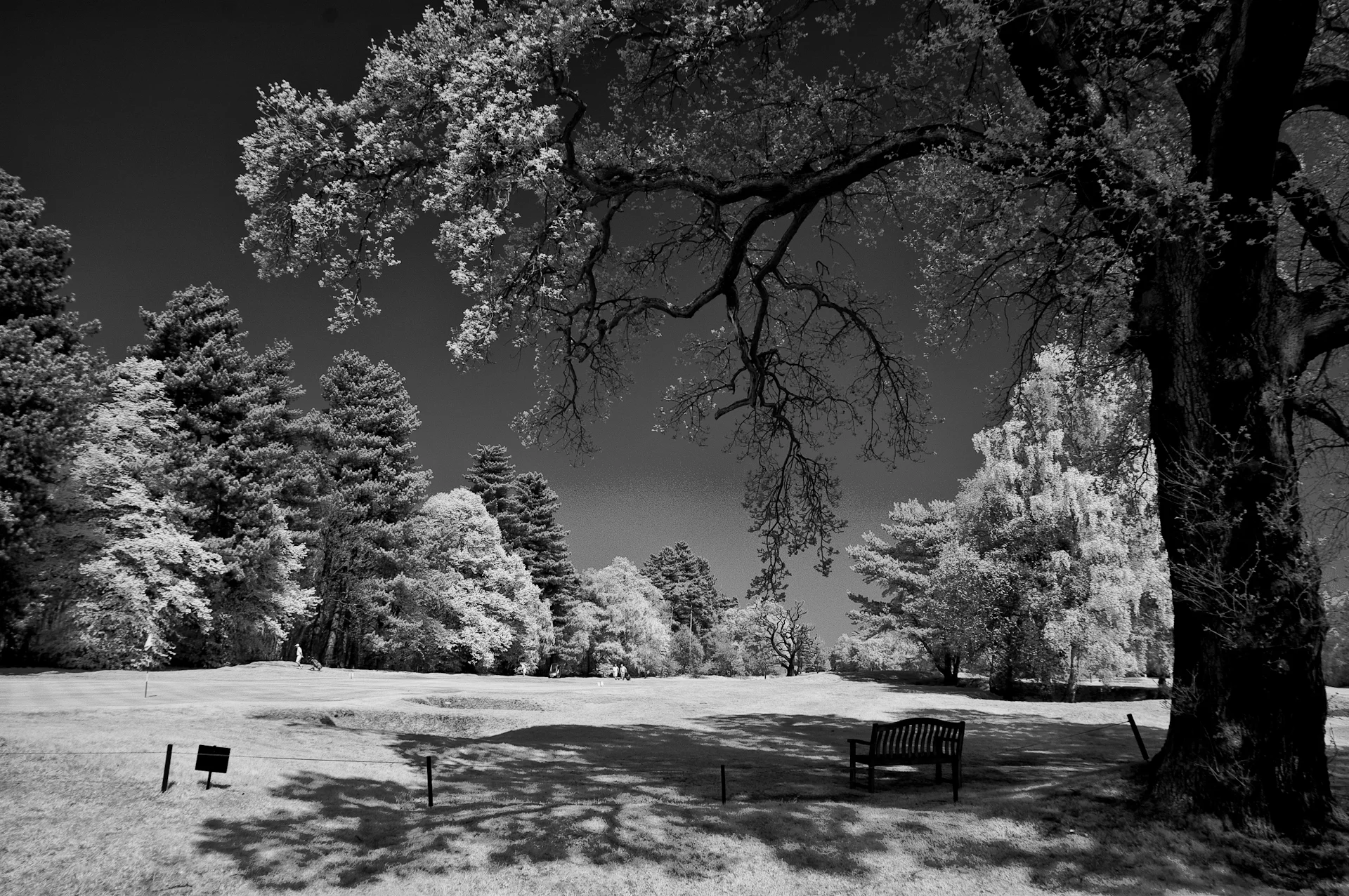 DSC_4399-Edit.jpg