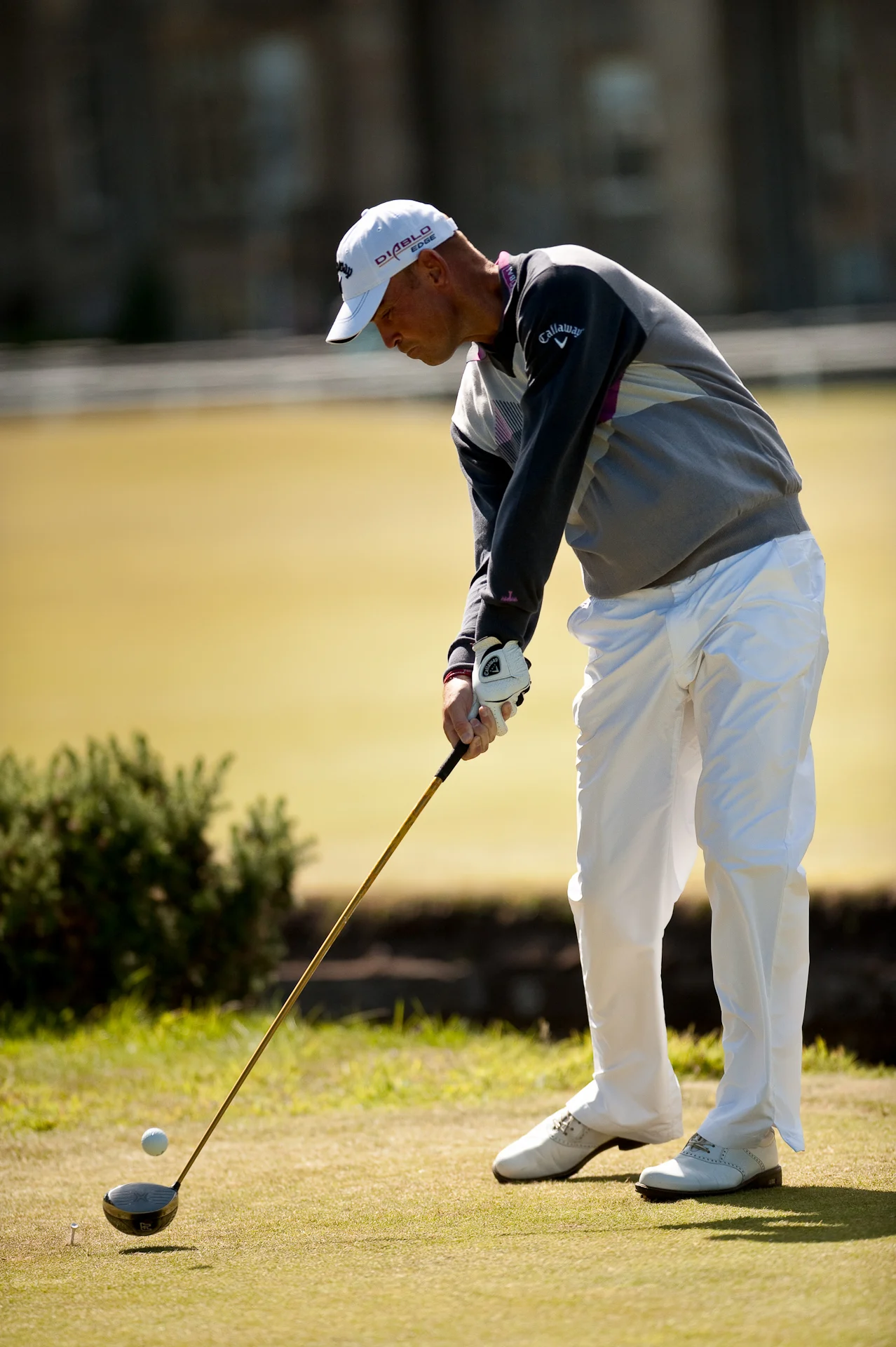 DSC_8715-Edit.jpg