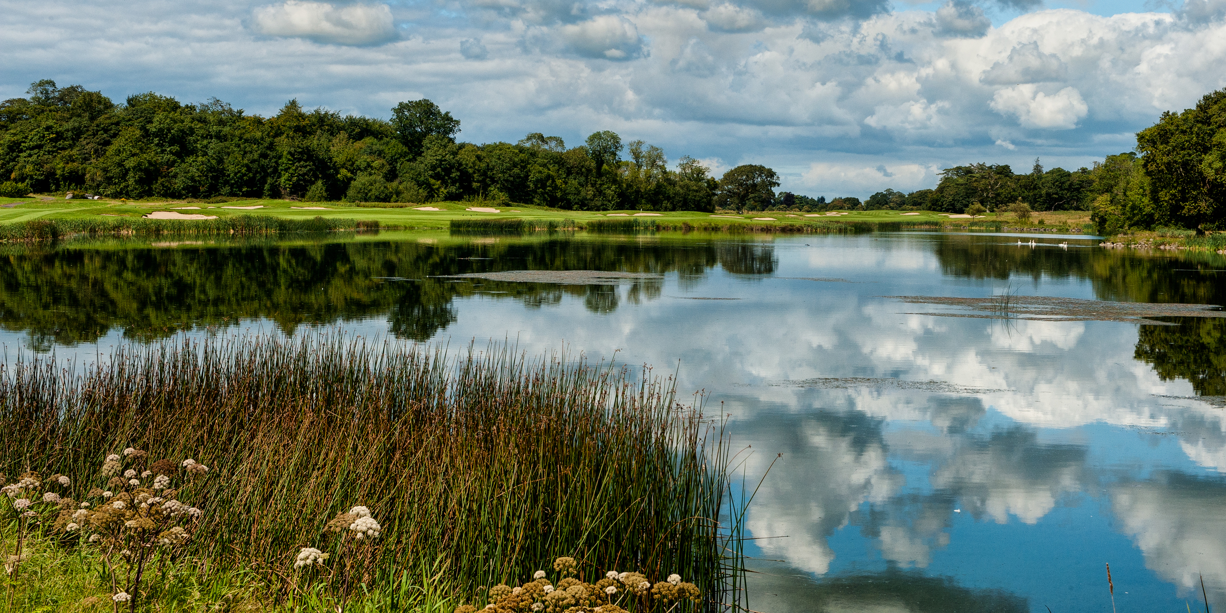 Adare Manor