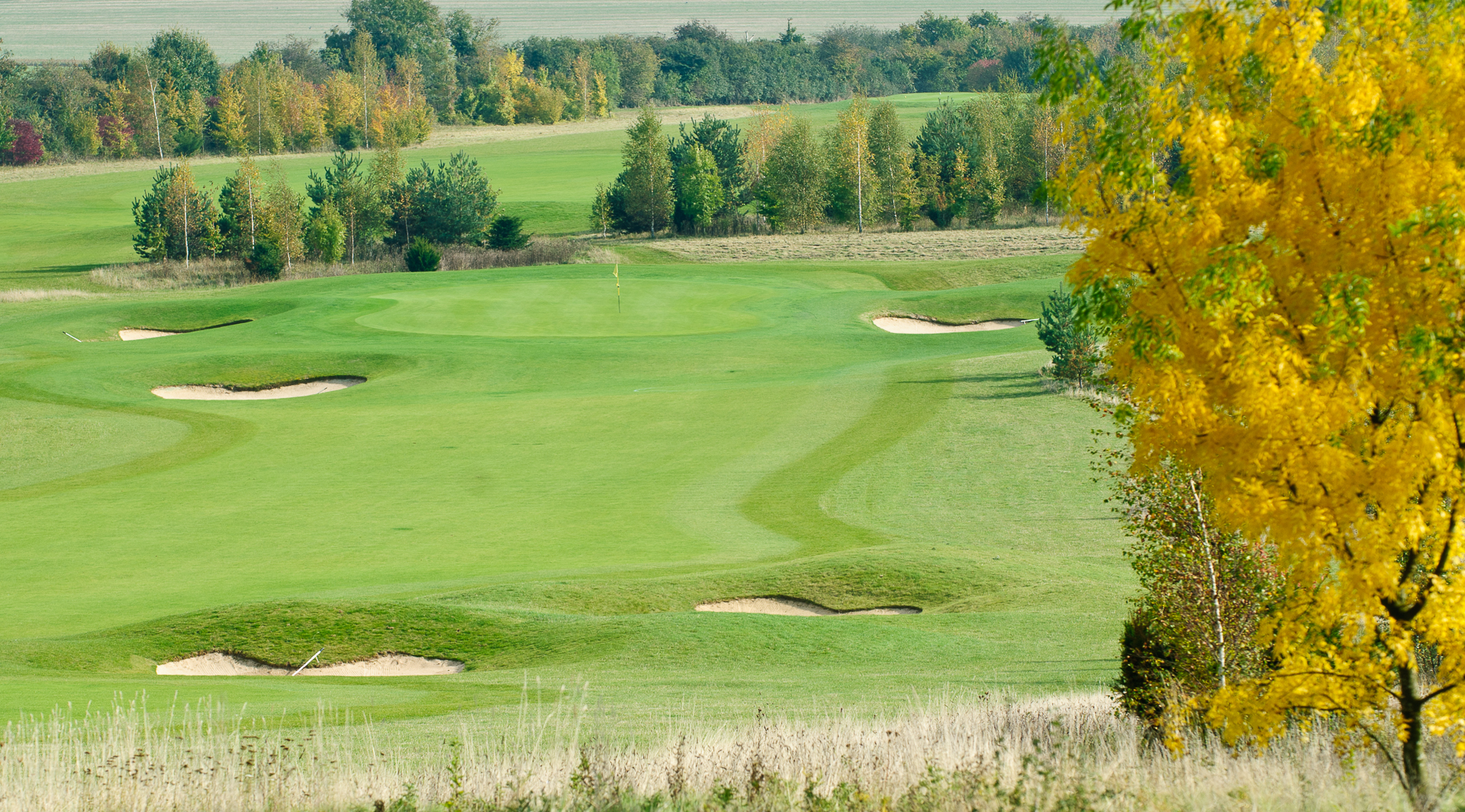 Gog Magog Golf Club.jpg