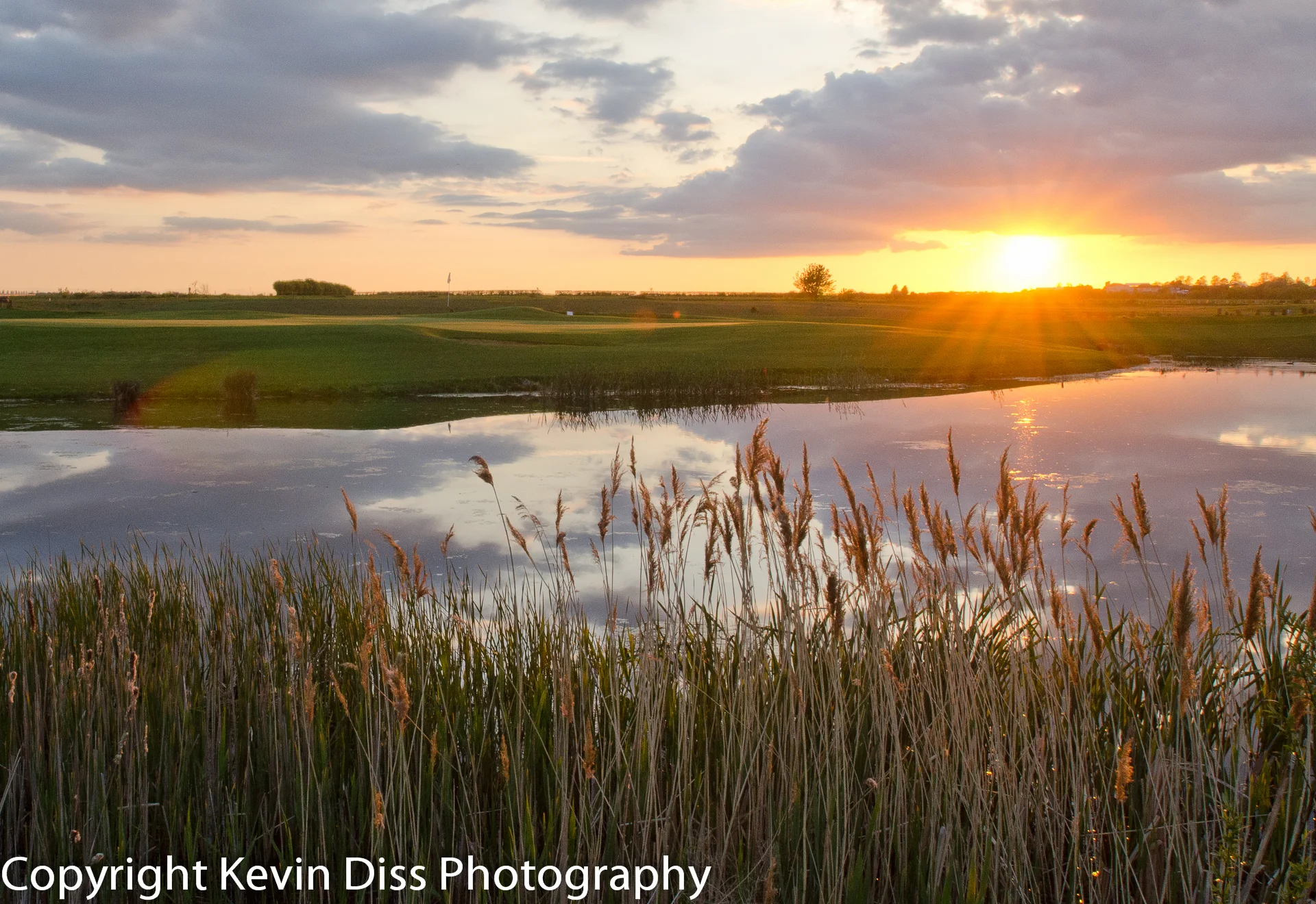 St Ives Golf Club-19.jpg