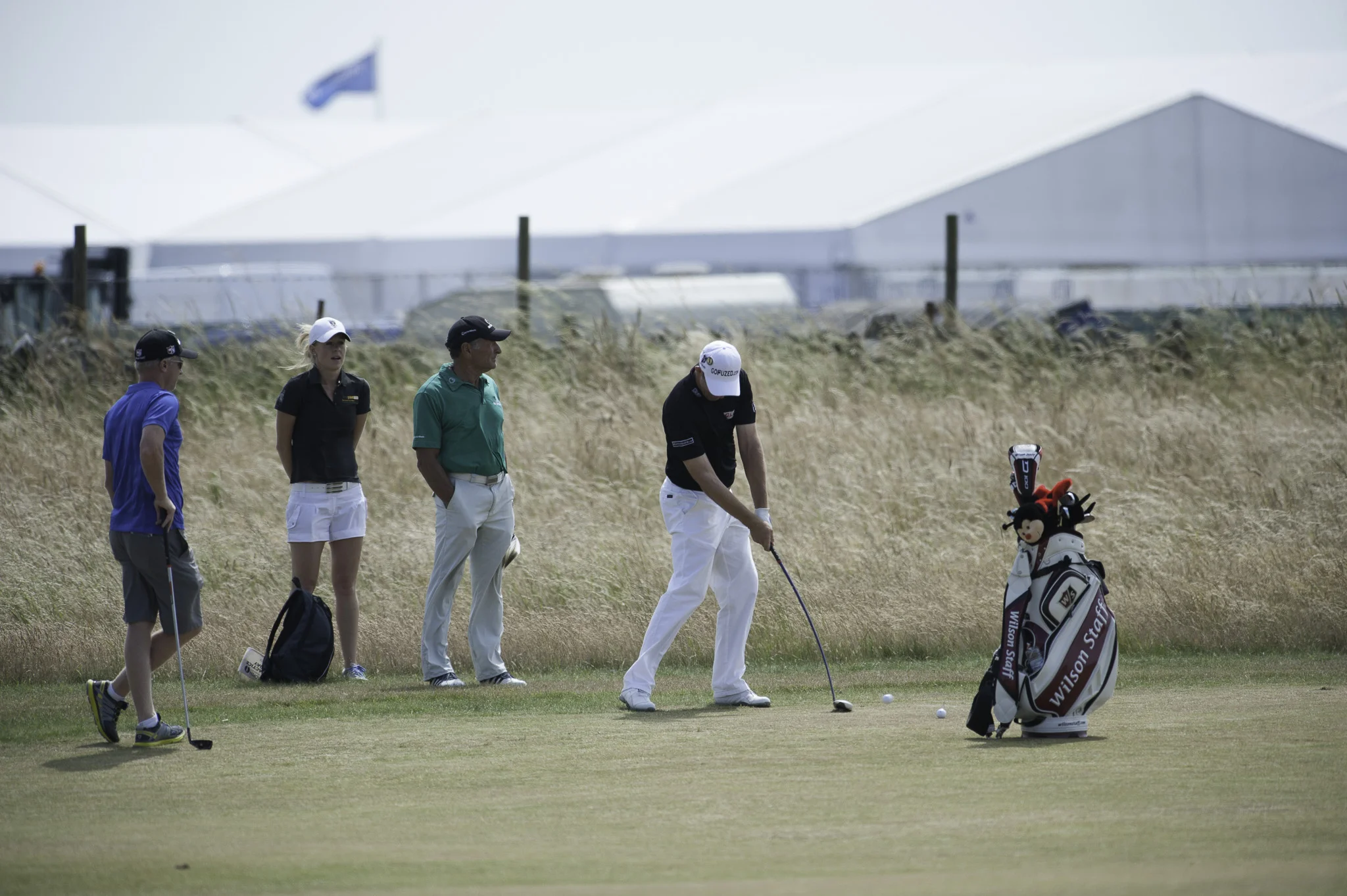 British Open Muirfield 2013-16.jpg
