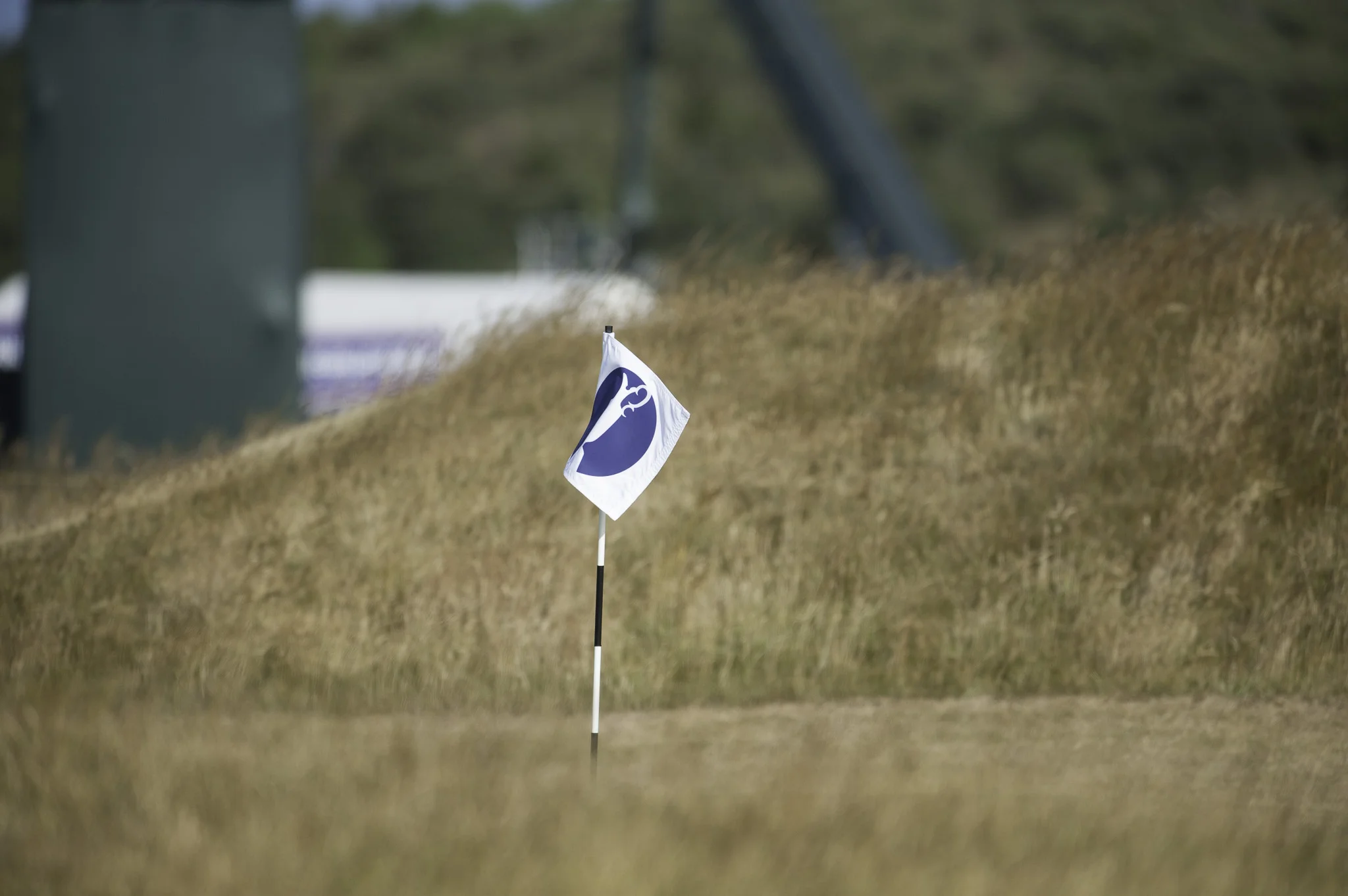 British Open Muirfield 2013-203.jpg
