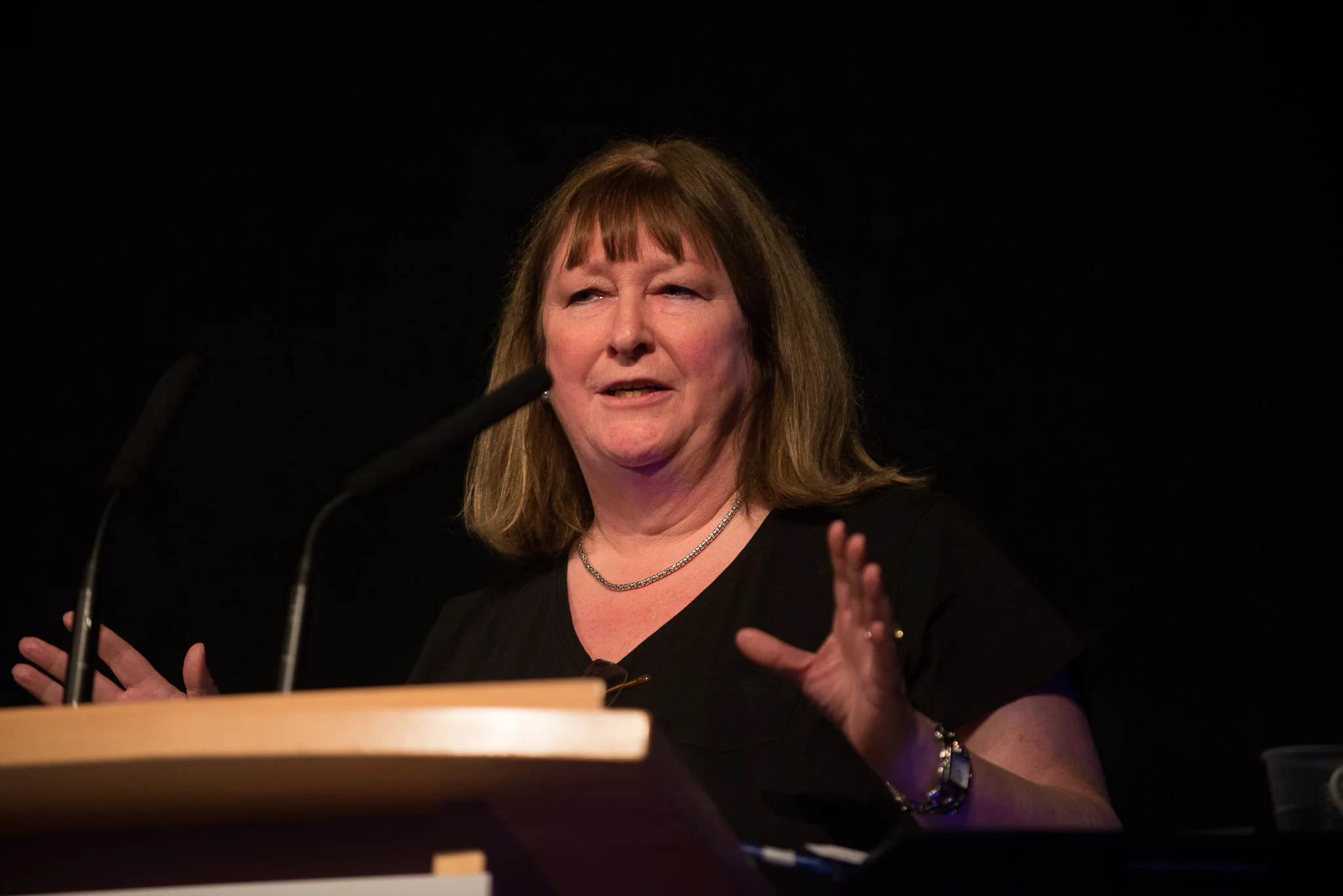 Philips conf 2014-6275.jpg