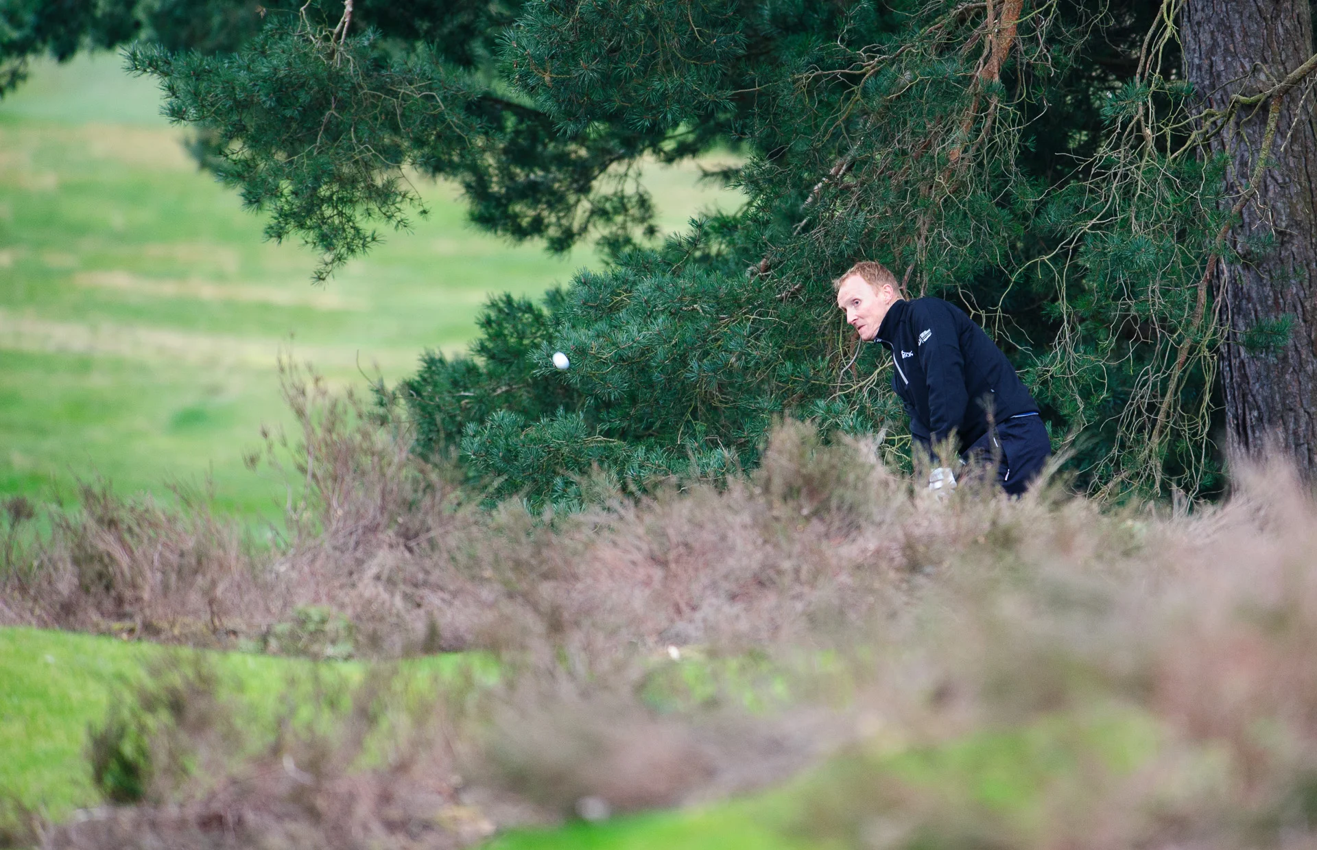 Sunningdale-16074.jpg