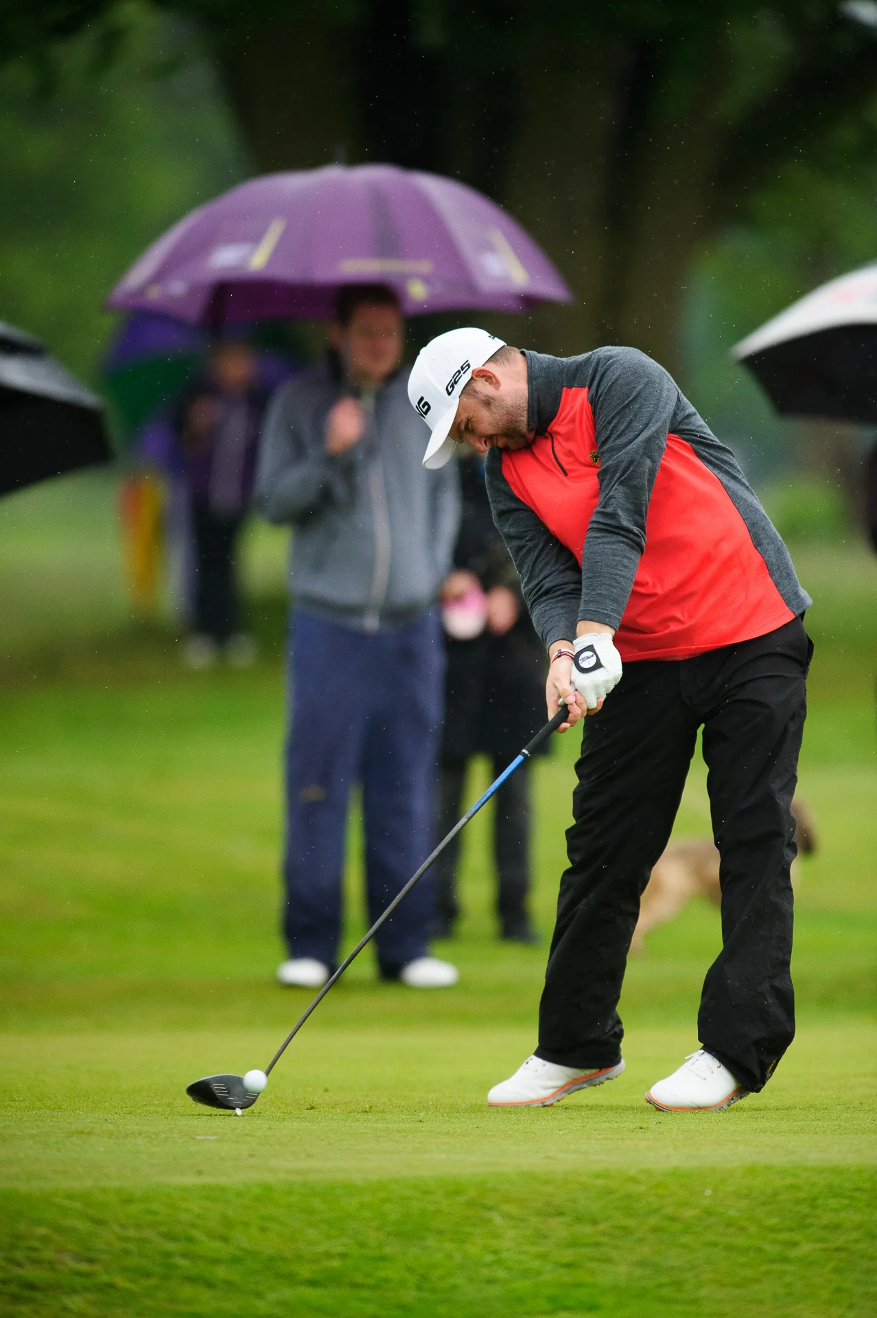 US Open Qualifying Walton Heath 2014-1879.jpg