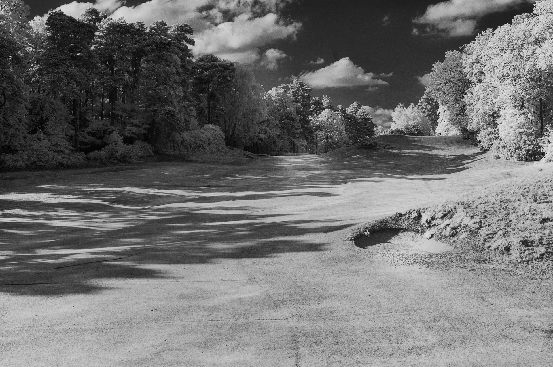 DSC_4855-Edit-Edit.jpg