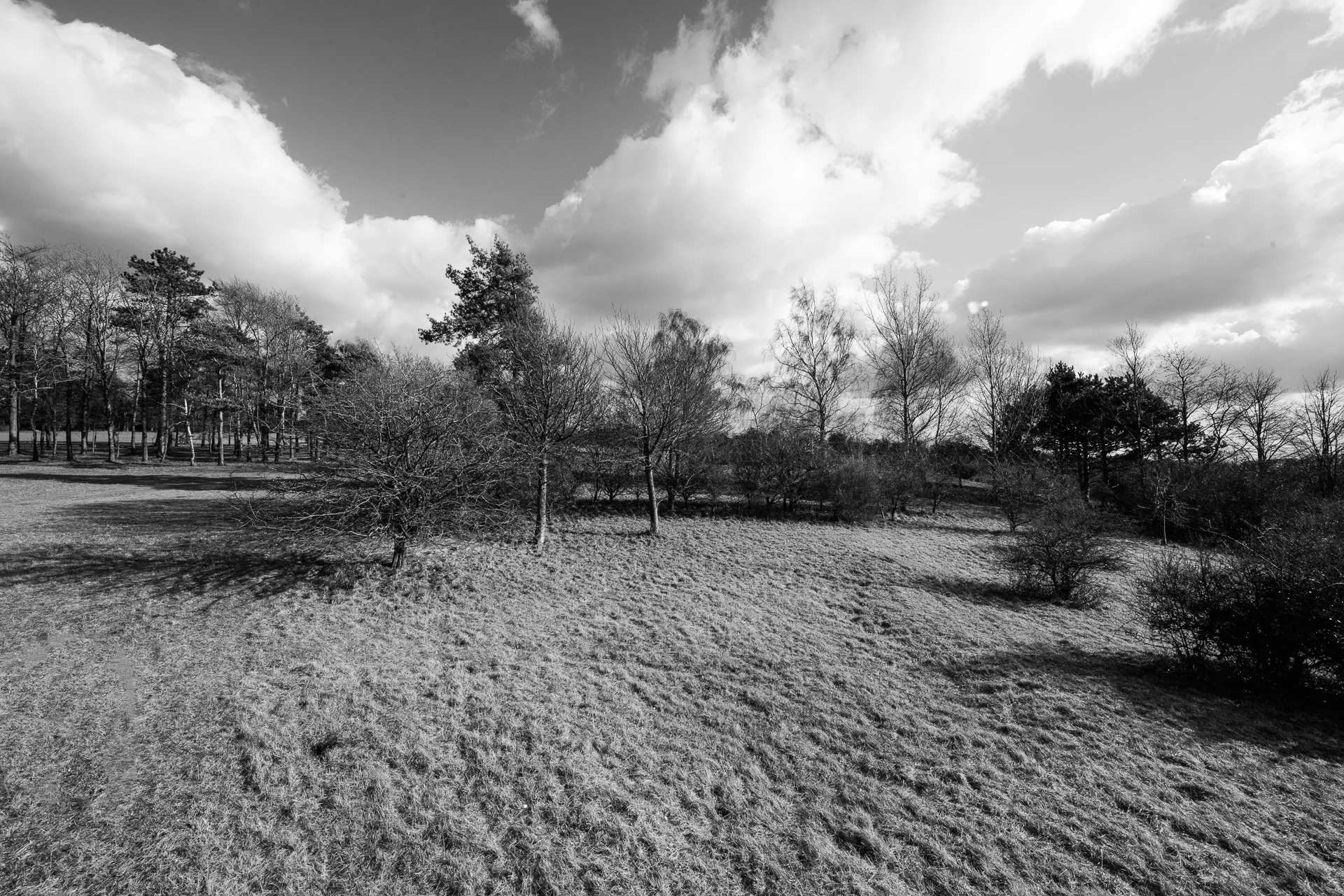 KMD_6172-Edit.jpg