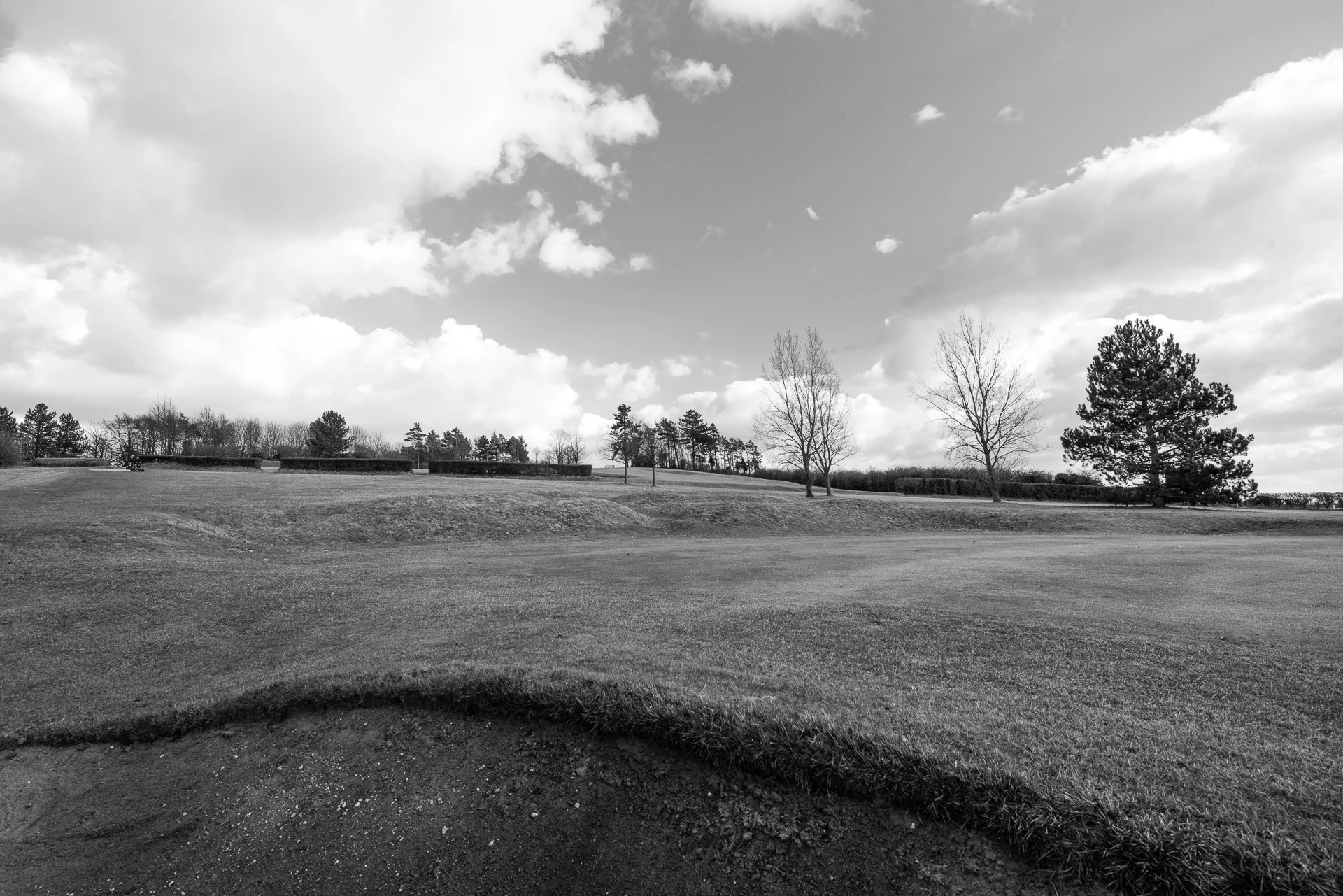 KMD_6586-Edit.jpg