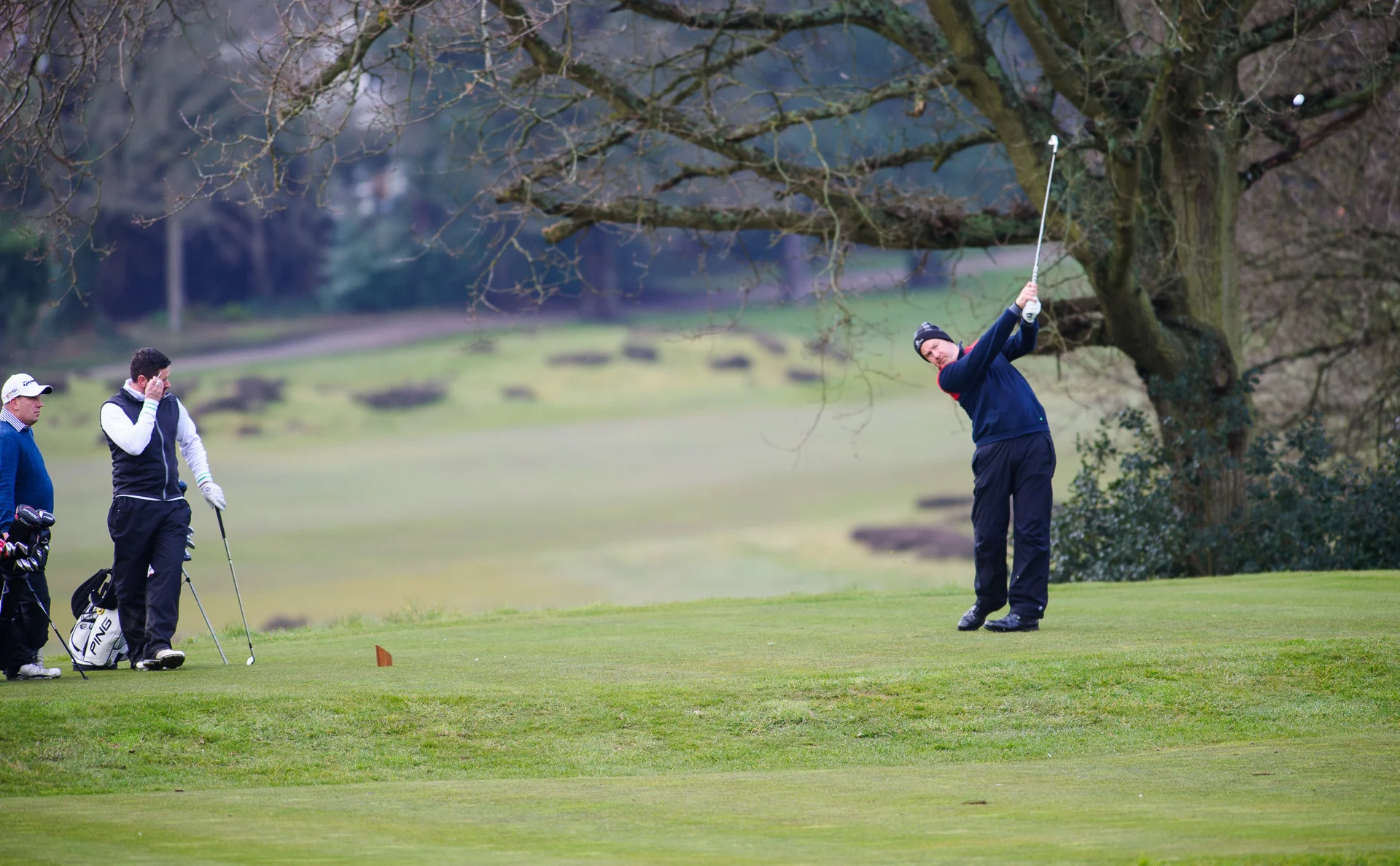 Sunningdale foursomes 2016-9253.jpg
