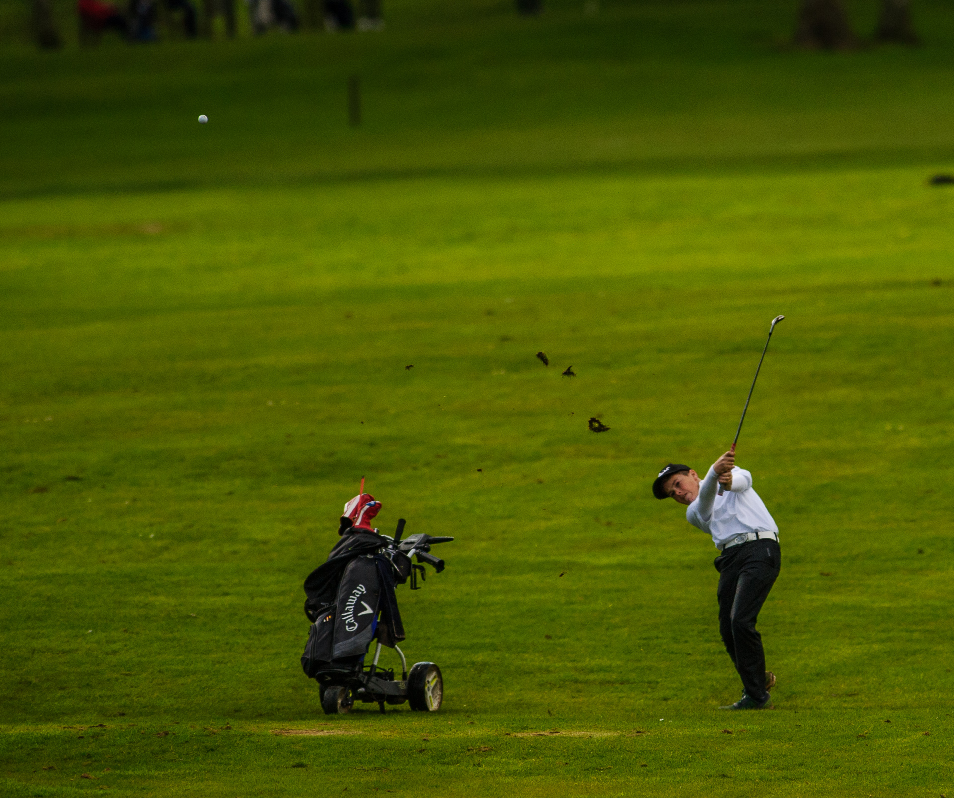 Kevindiss.com golf course photography Hawkstone Park golf course-0648.jpg