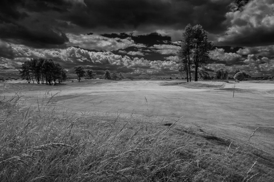 IMG_4687-Edit.jpg