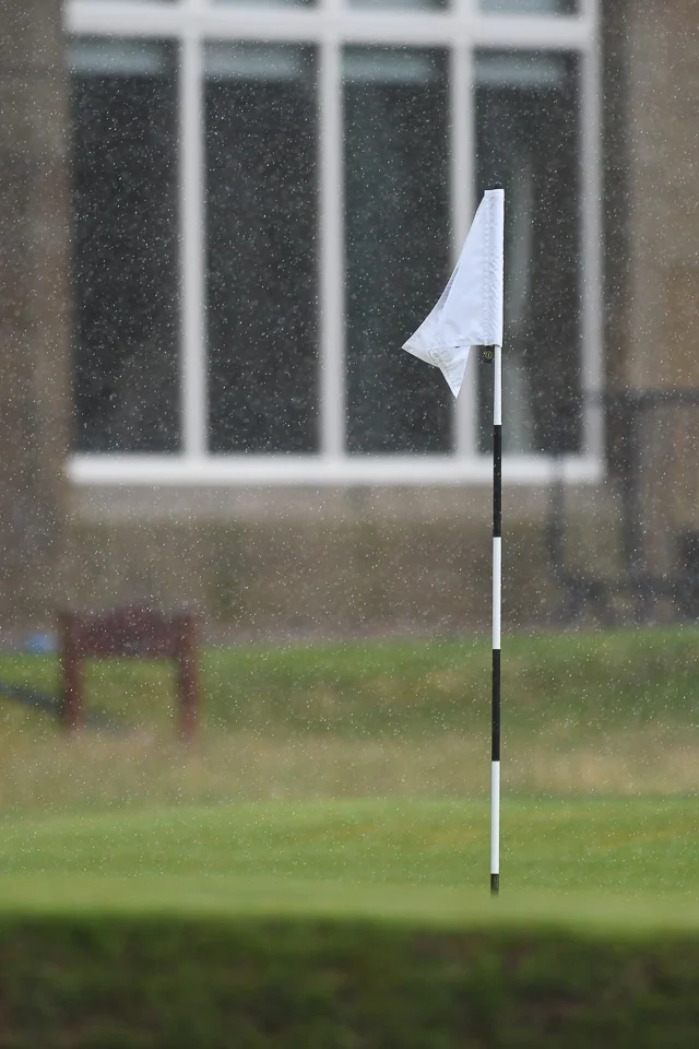 DSC_1206.jpg