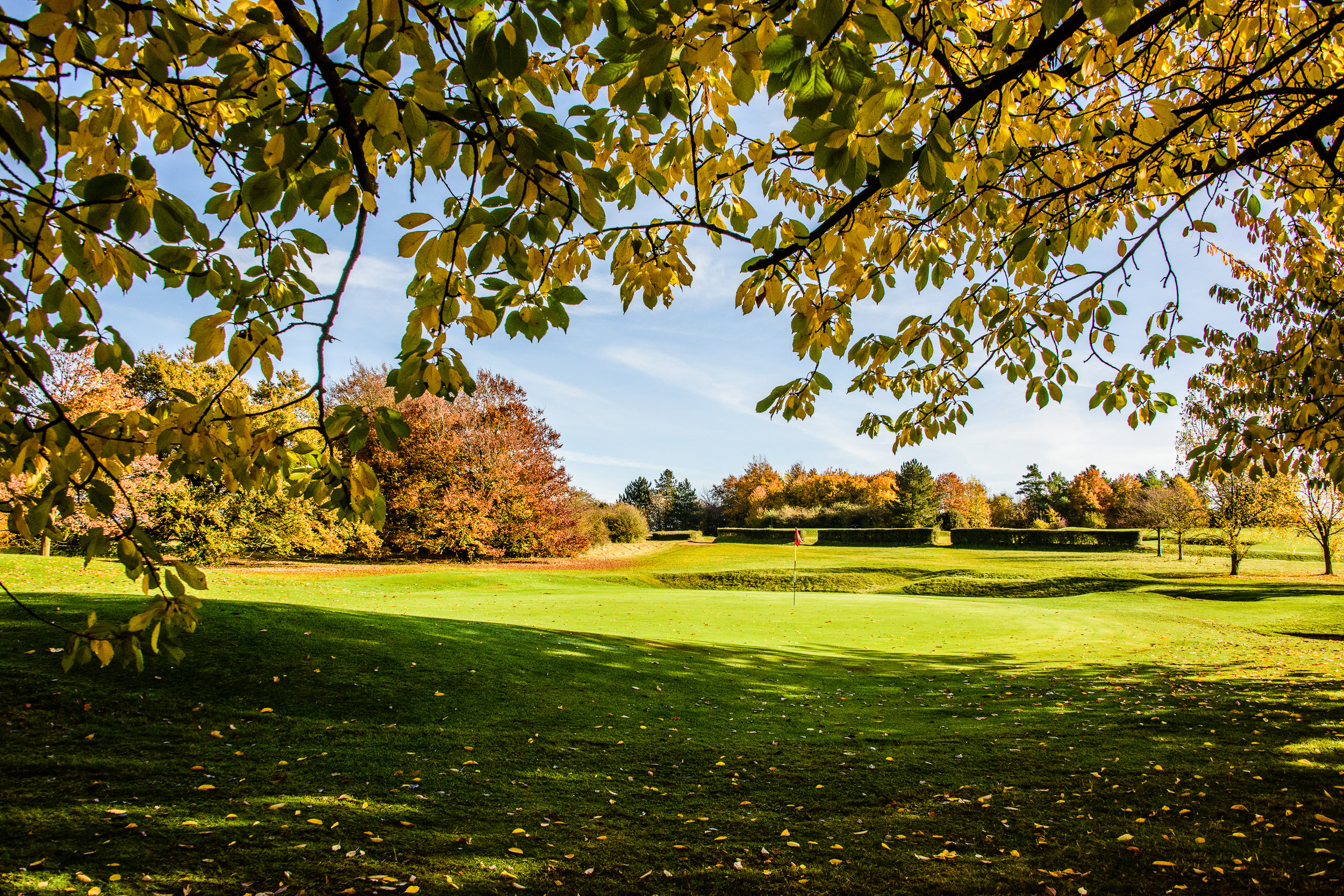 Gog magog golf course-4624.jpg