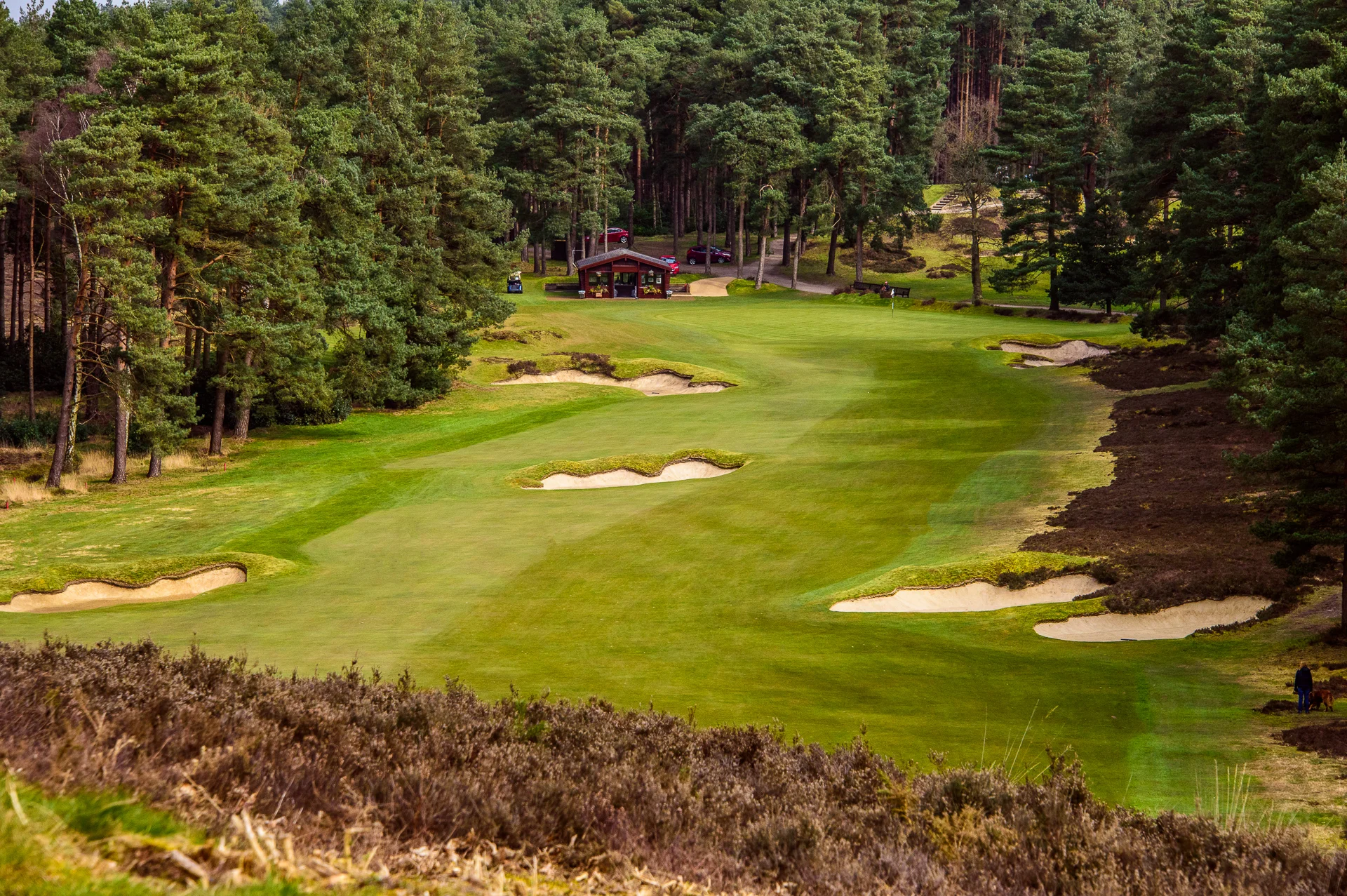Sunningdale golf course--7.jpg
