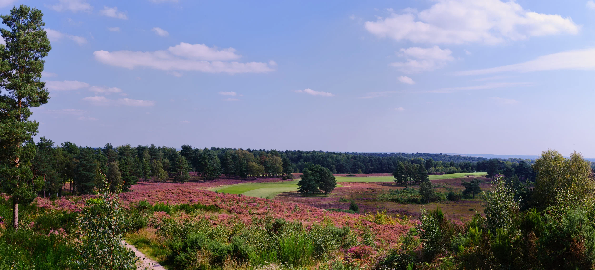 Sunningdale golf course Kevin Diss Golf Course photography--21.jpg