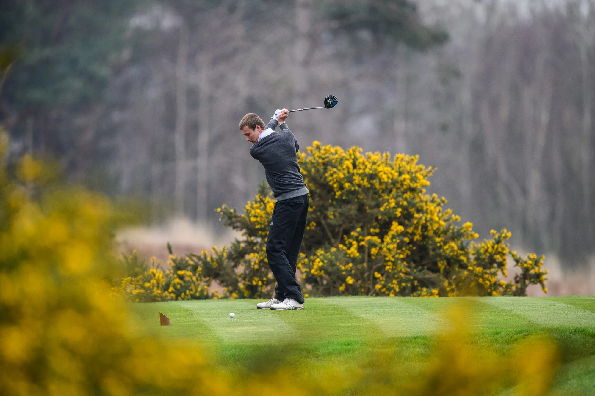 Sunningdale golf course Kevin Diss Golf Course photography-7562.jpg