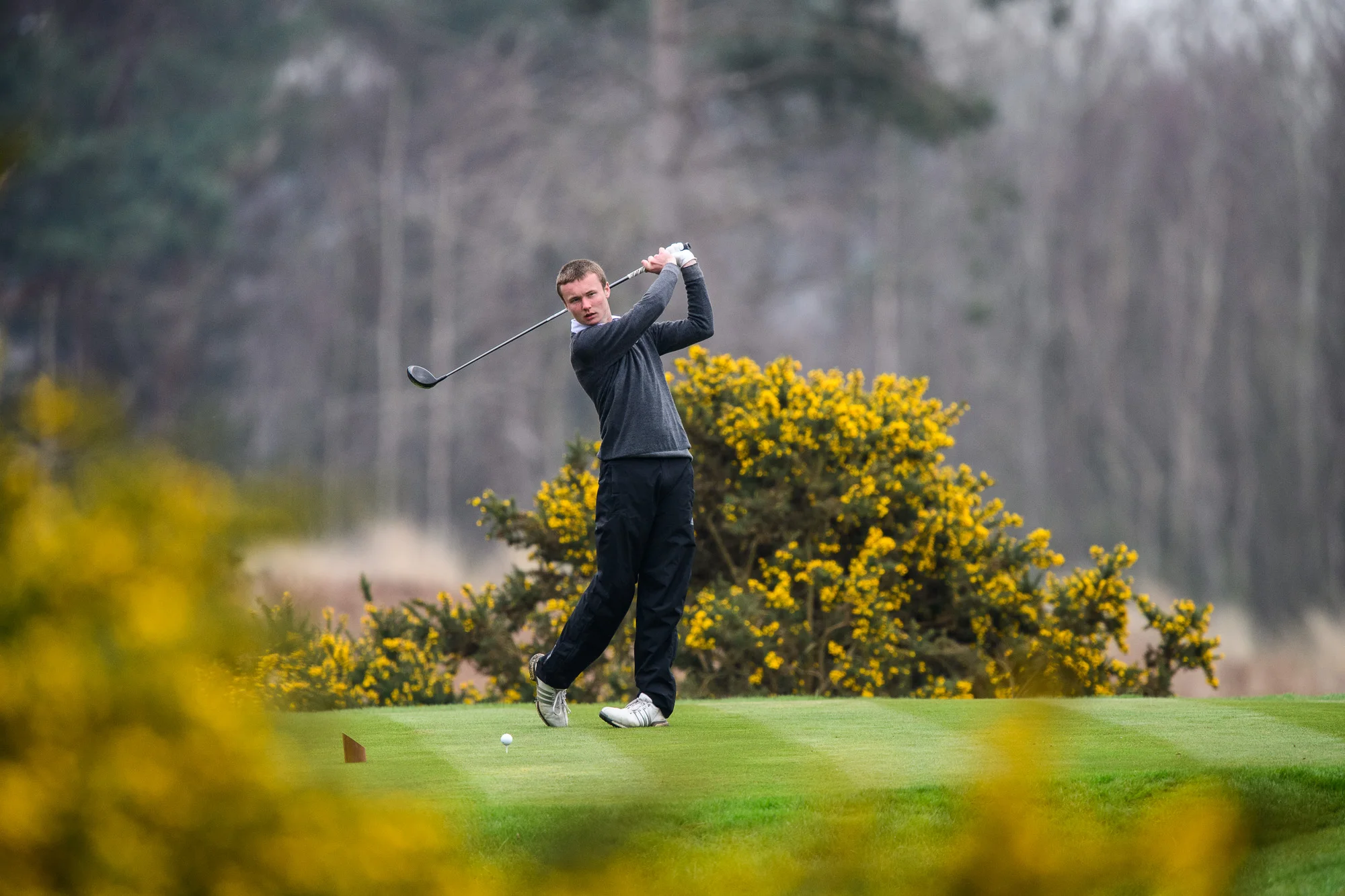 Sunningdale golf course Kevin Diss Golf Course photography-7564.jpg